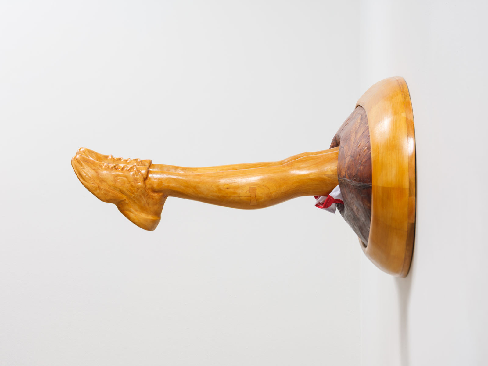 Shana Hoehn, Beetle, 2025