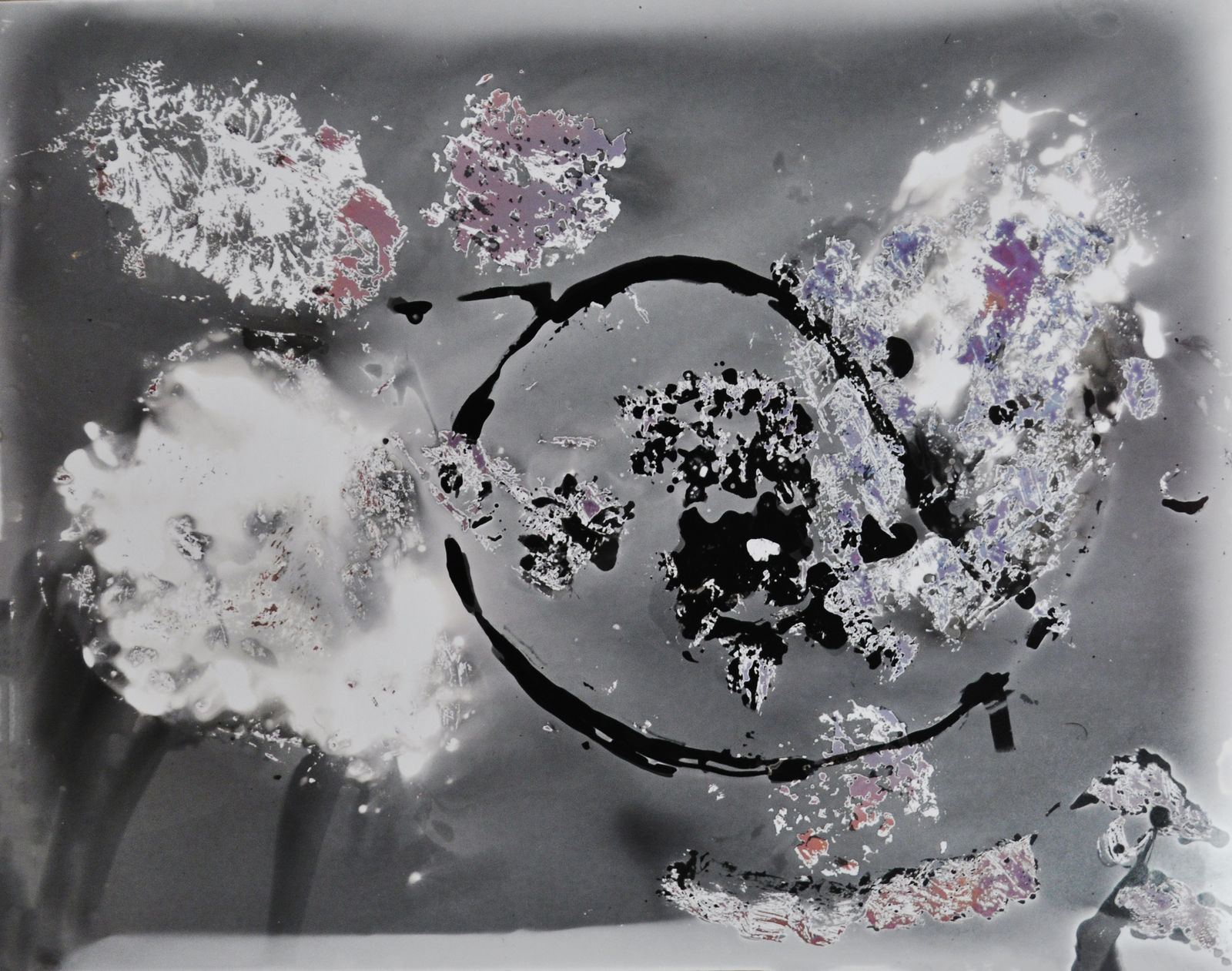 Kamy Aquilina, Floryn, 2023