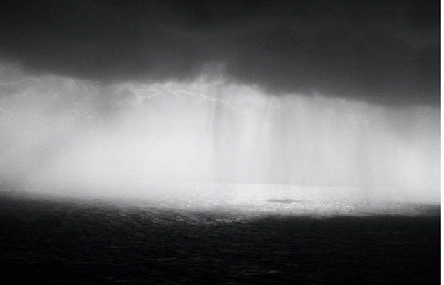 Sasha Vella, January (diptych), 2023