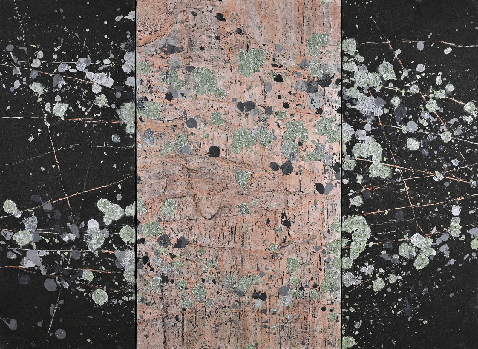 ED BARTRAM, Lichen Rock, c. 2019