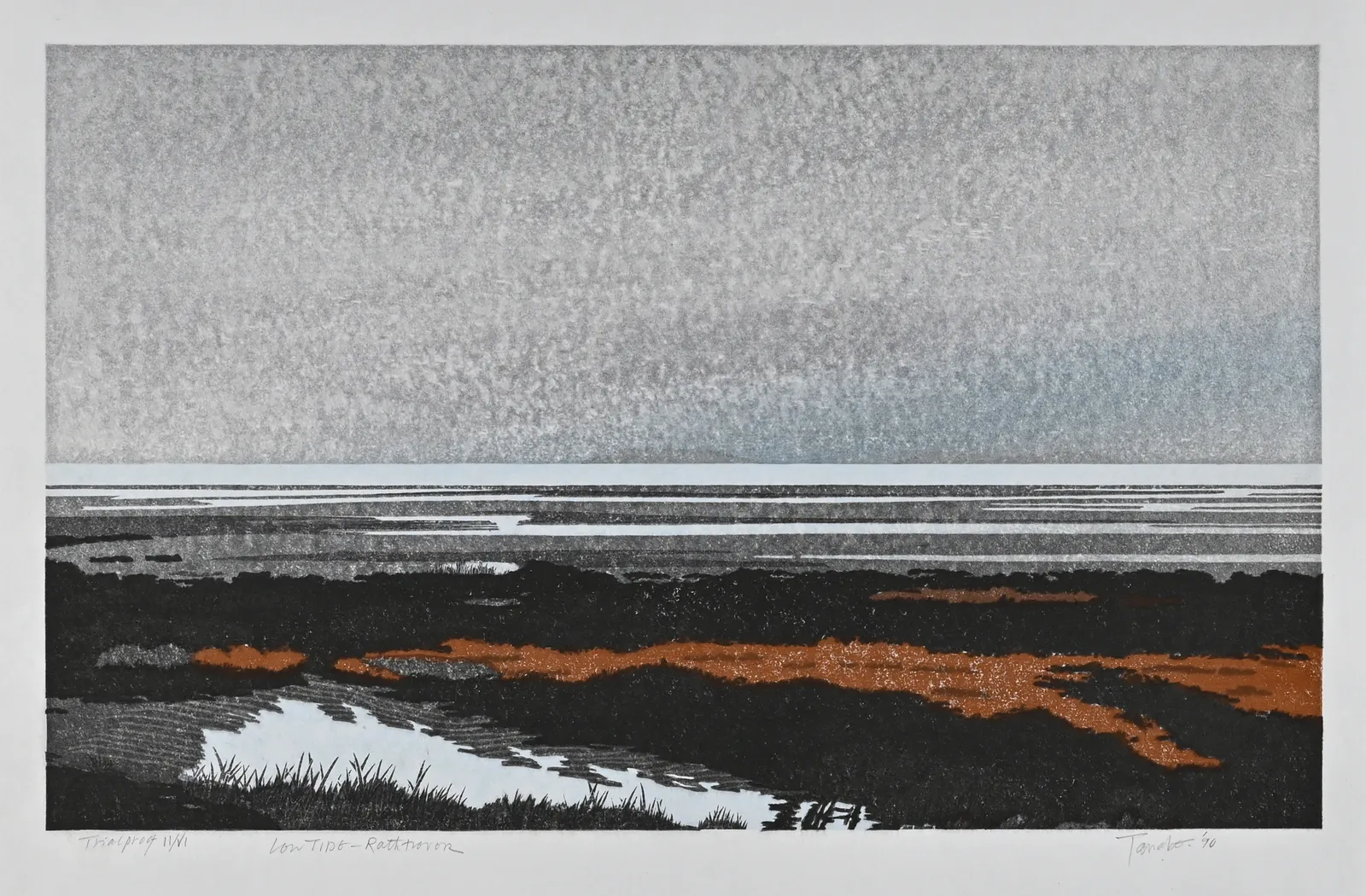 TAKAO TANABE, Low Tide/Rathtrevor, 1990