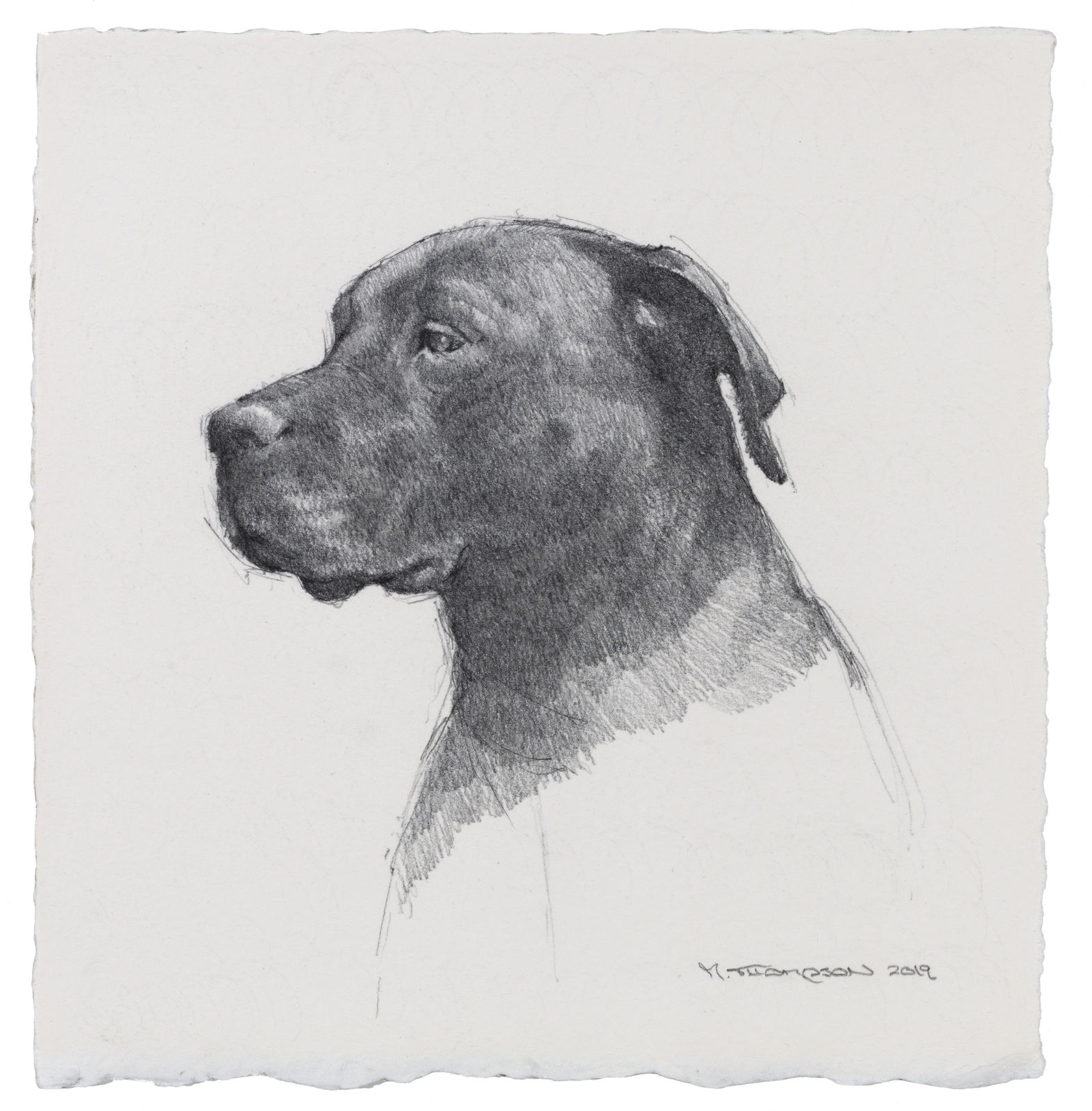 MICHAEL THOMPSON, Black Dog Waiting, 2019