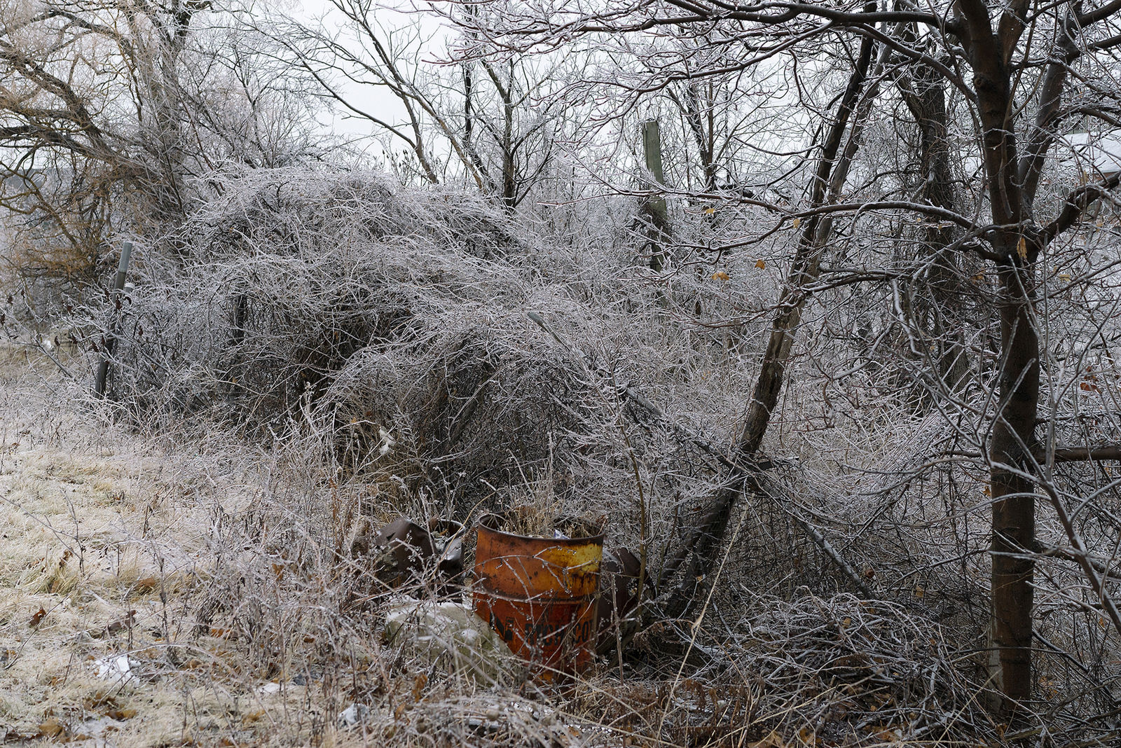HUGH MARTIN, Ochre Drum, Hamilton, 2019