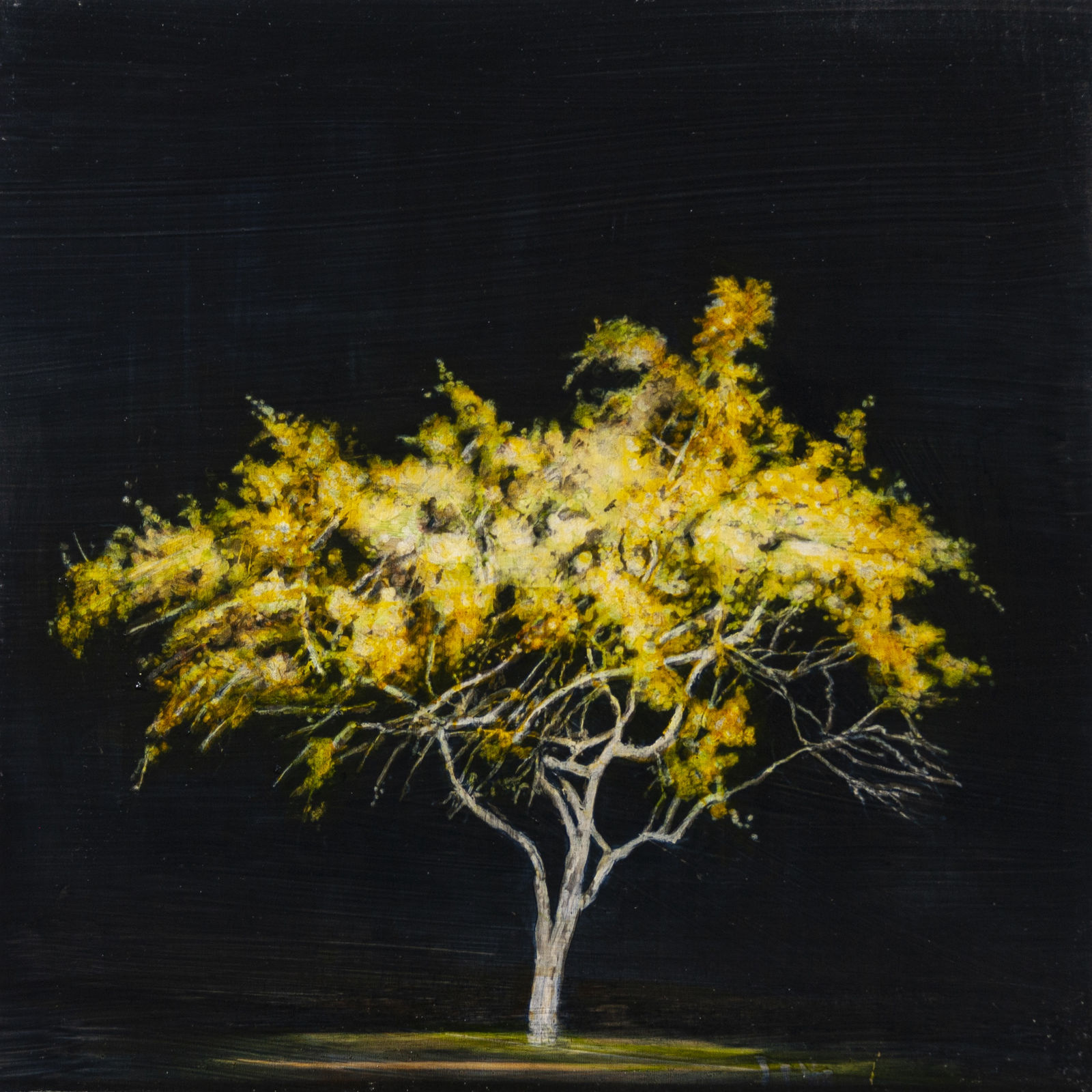 STEPHEN HUTCHINGS, Ghost Tree #1 (Umbrella), 2020