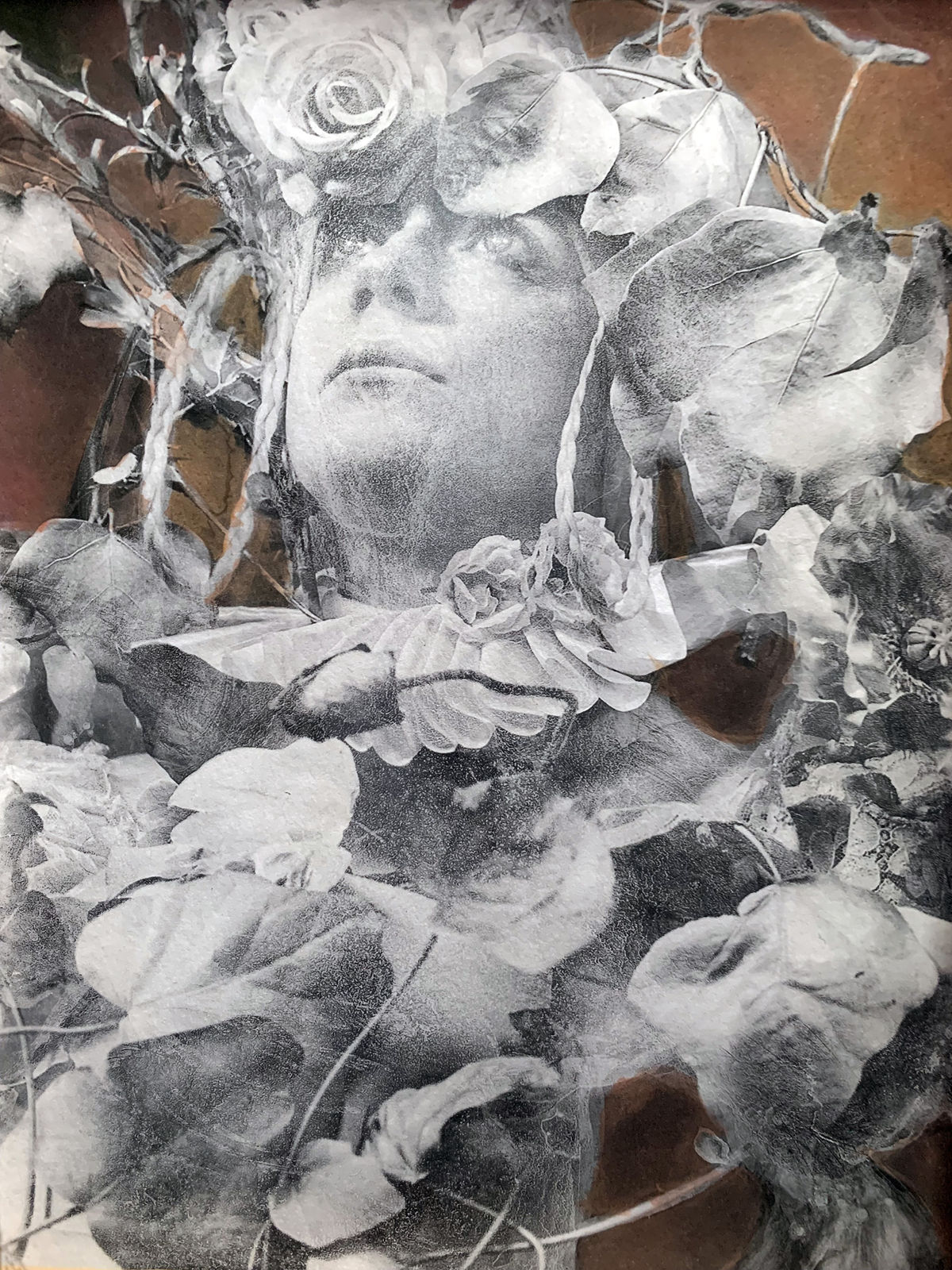 Katie Eleanor, Sweet Violet, 2019