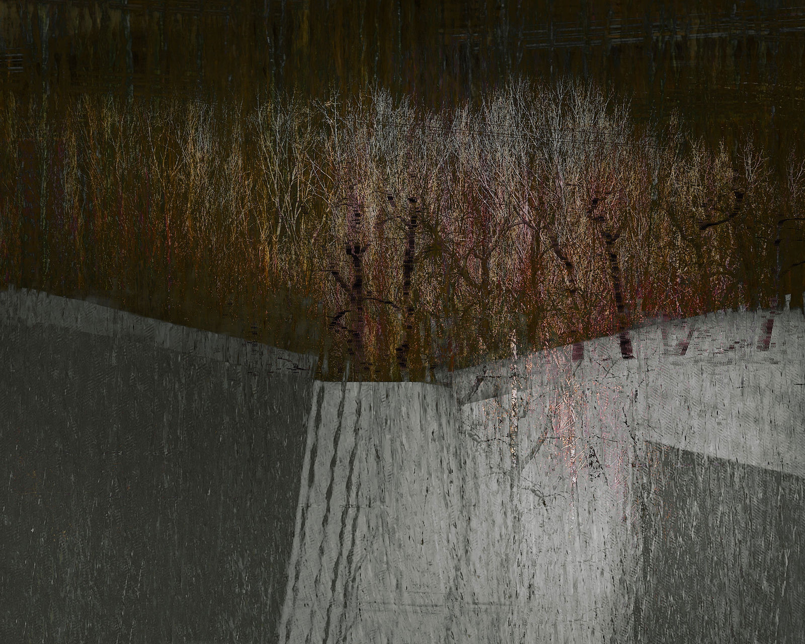 Valda Bailey, AWAKENING , 2019