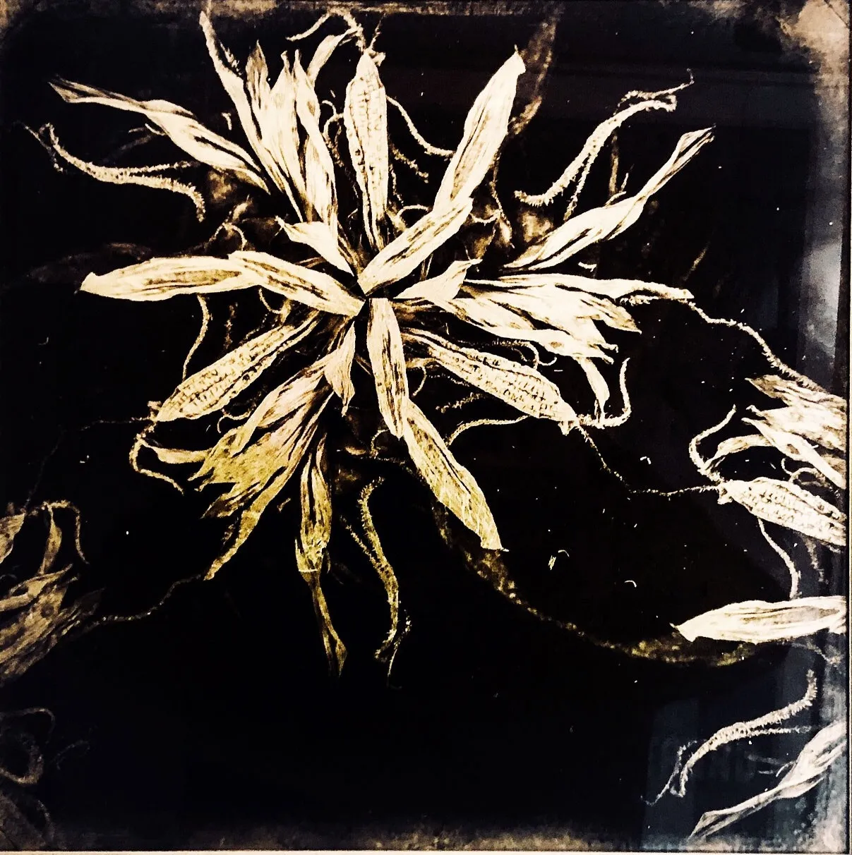 Valda Bailey, Constellation, 2017