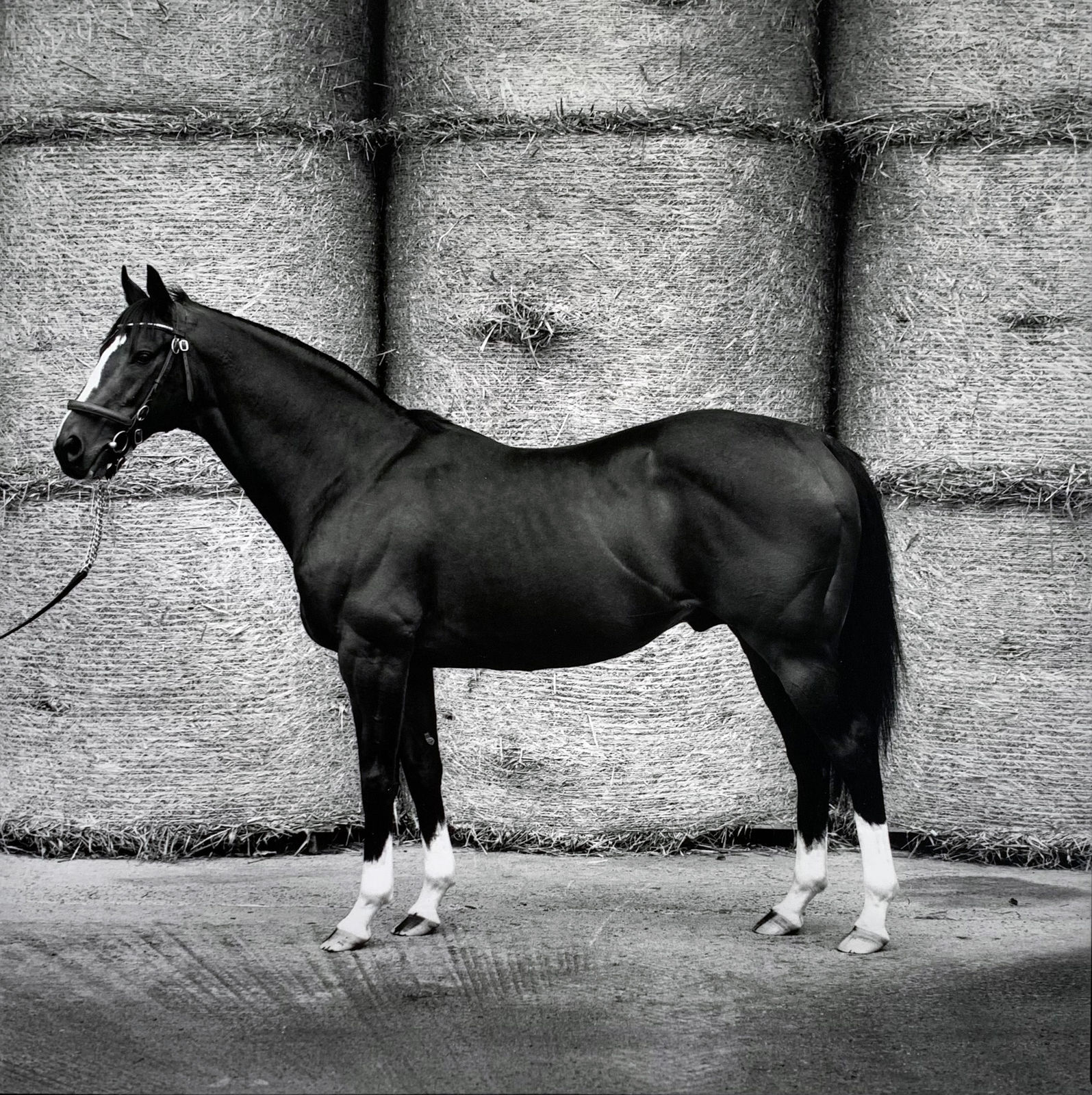 John Reardon, In the Wings, 2001