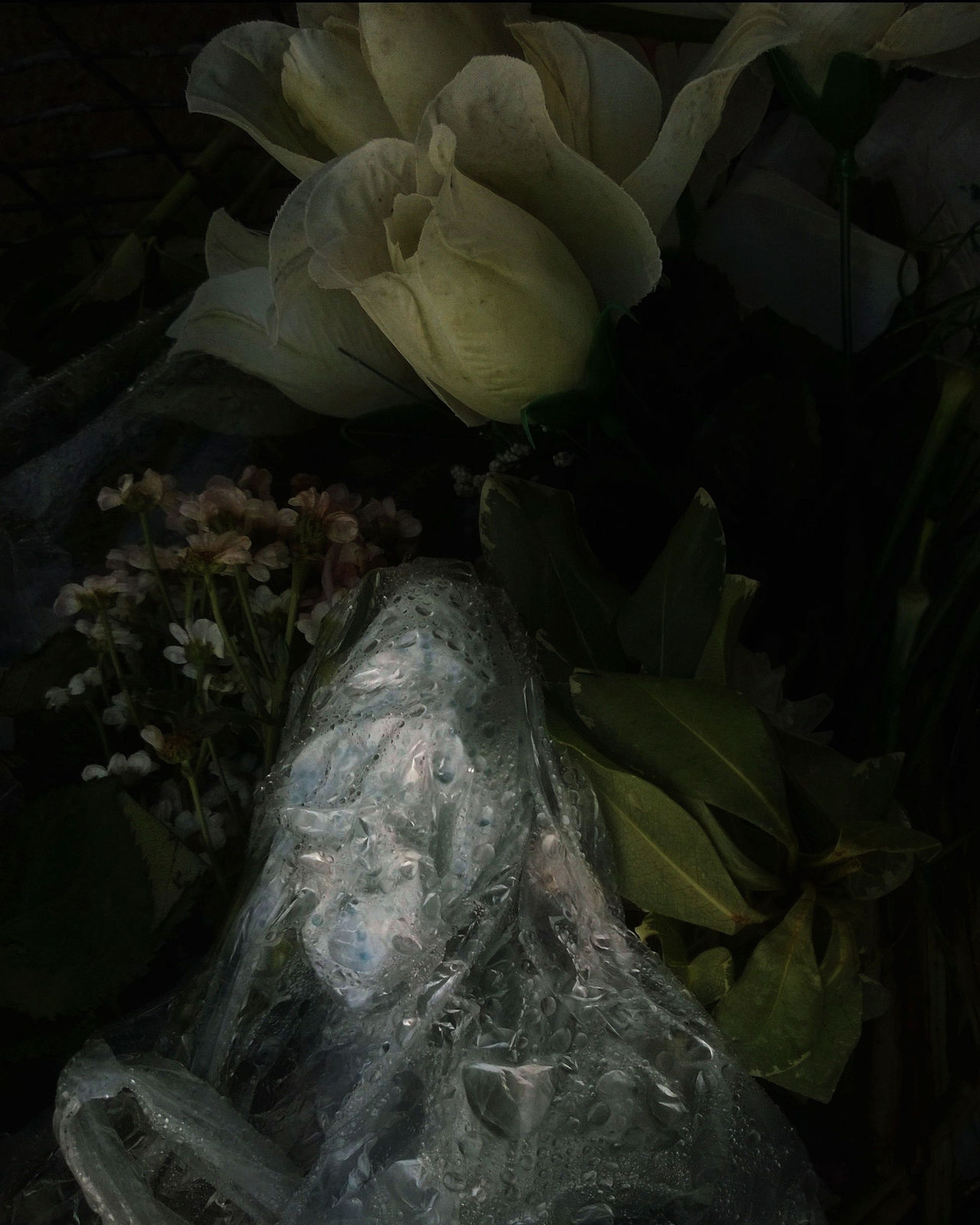 Al Brydon, Untitled #36, from 'Graveyard Bins' series, 2015-2018