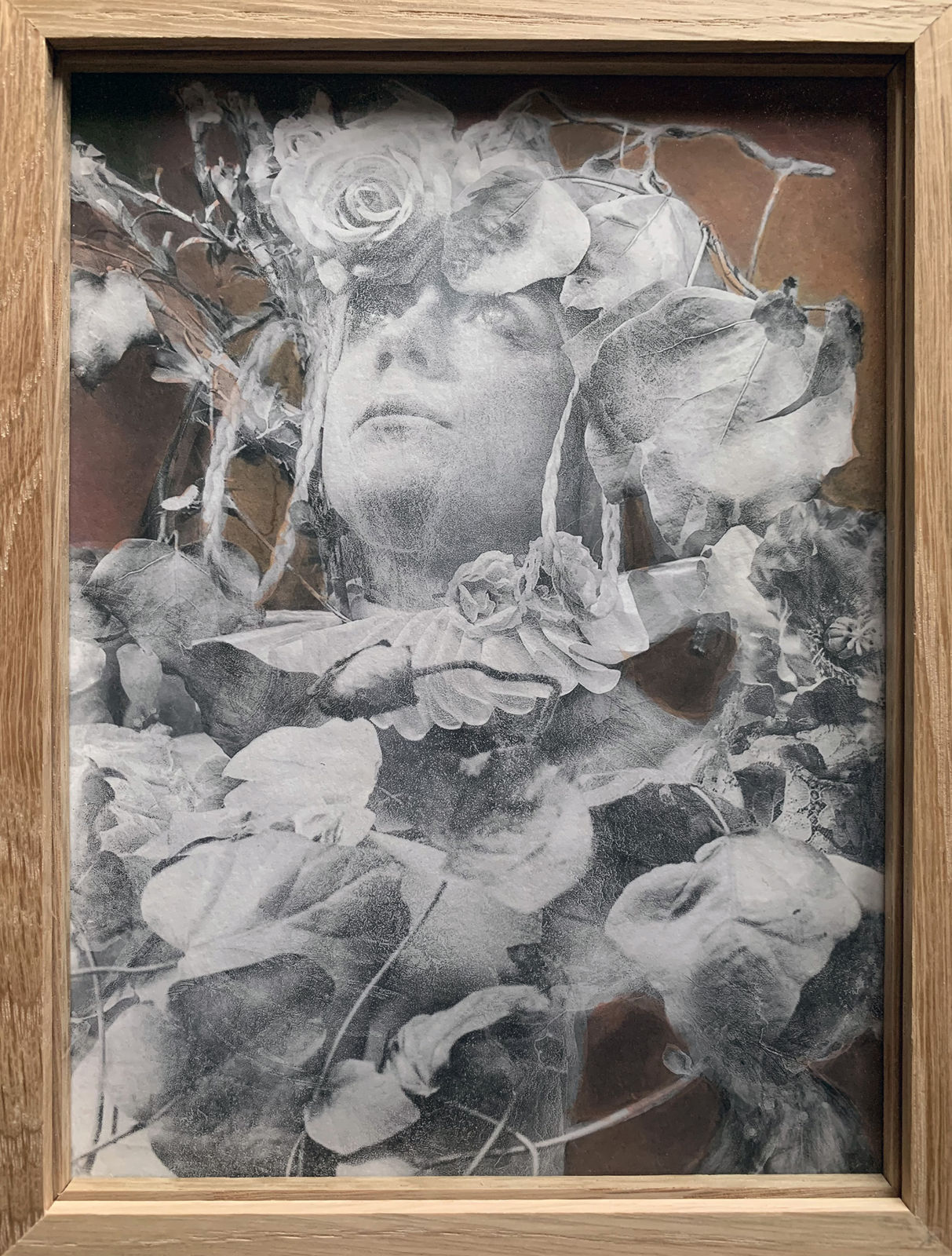 Katie Eleanor, Sweet Violet, 2019