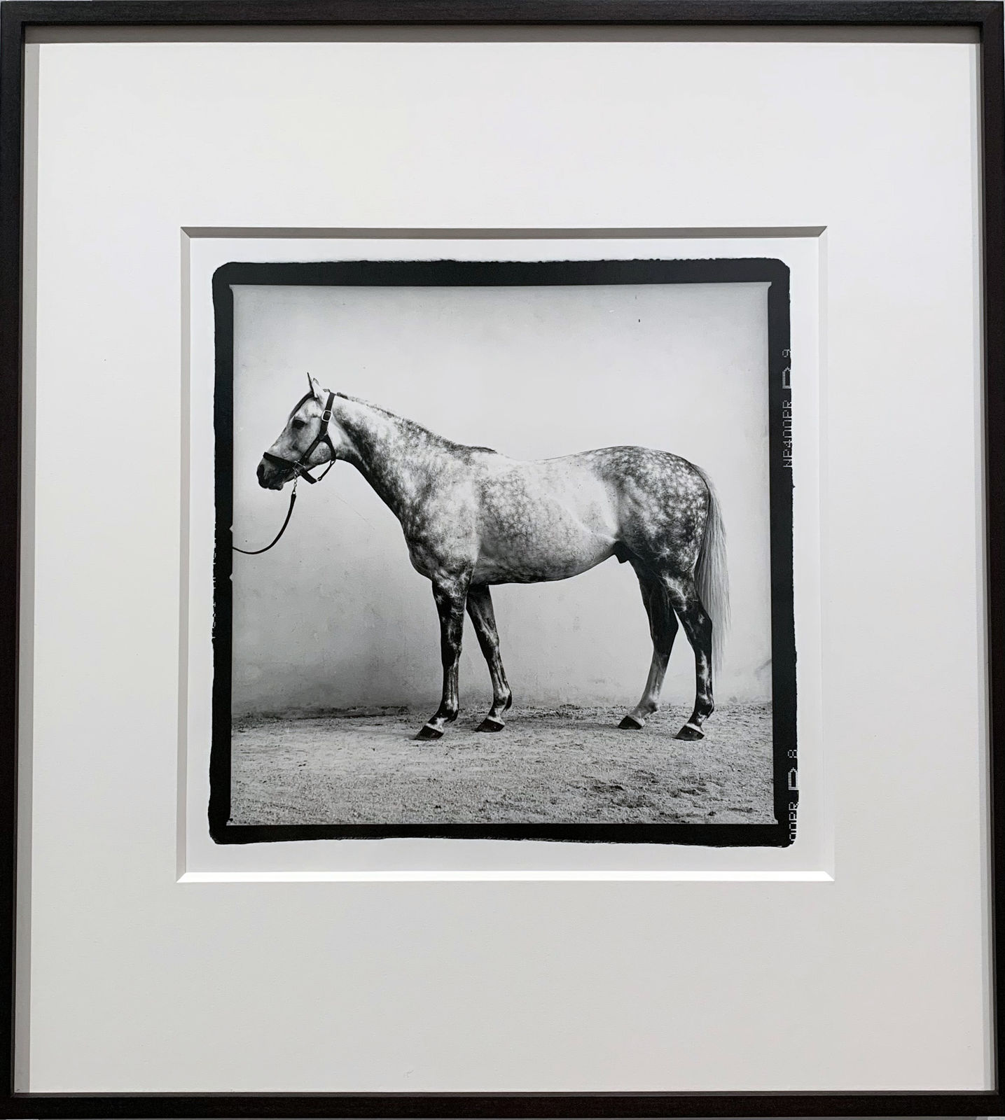 John Reardon, Medaaly, 2001