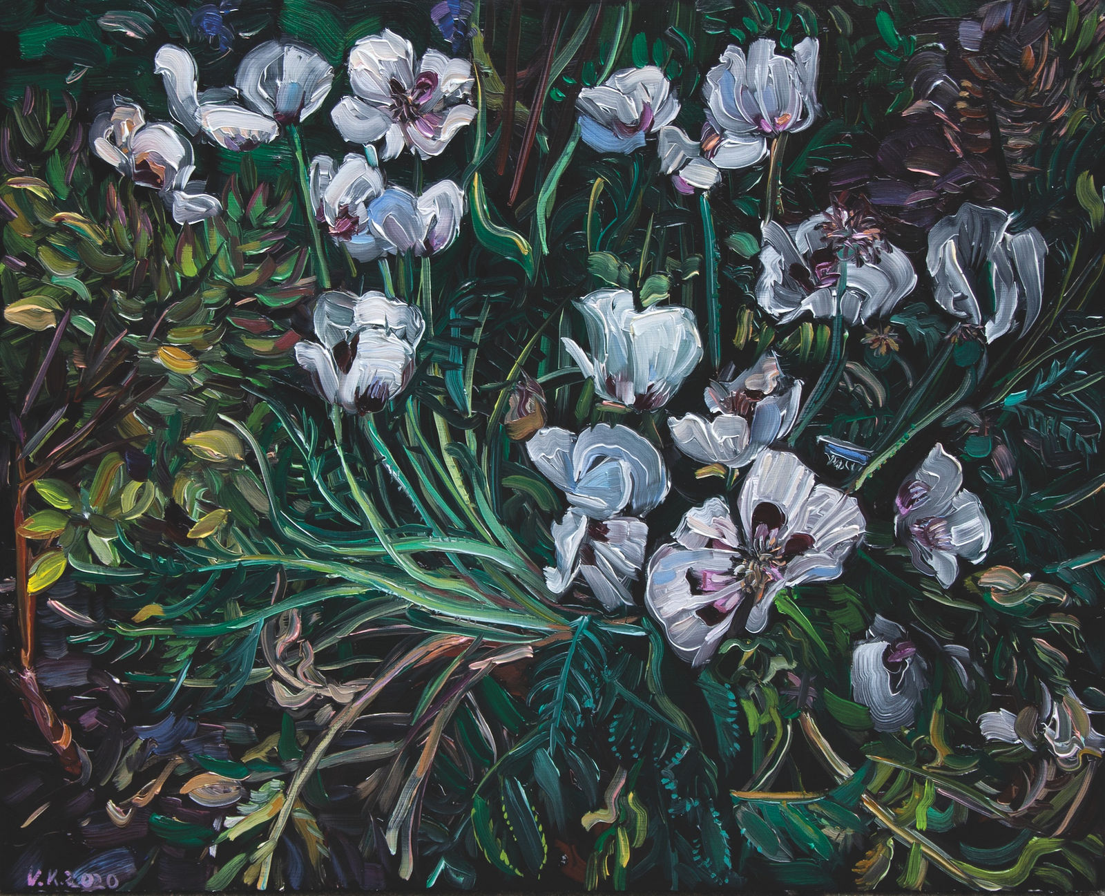 Vera Klute, Poppies, 2020