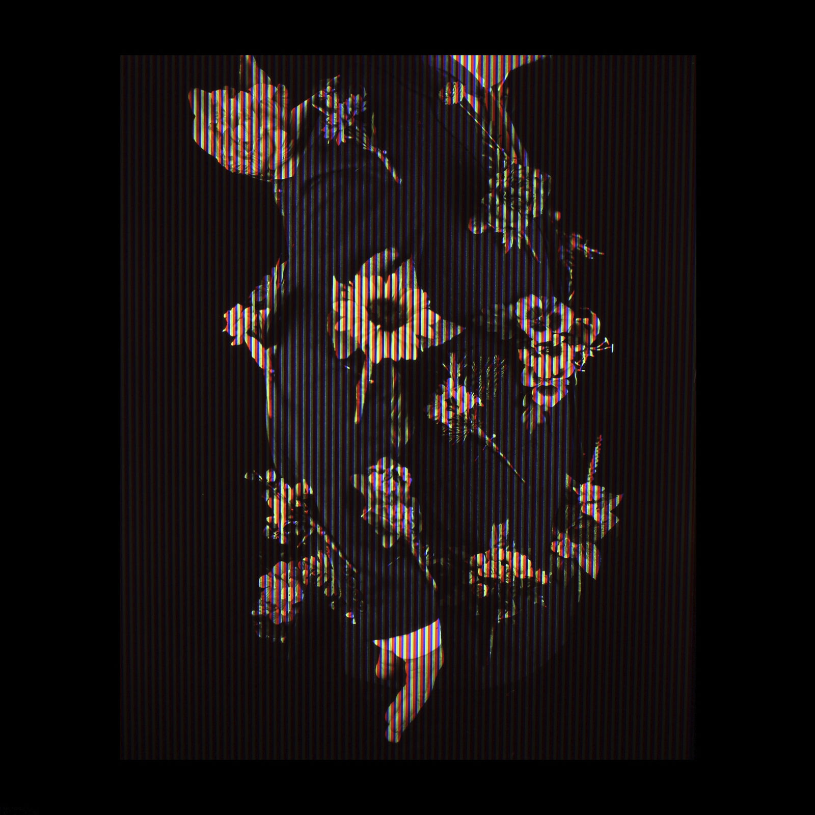 Alan Phelan, Sanitary flowers après avant Simon