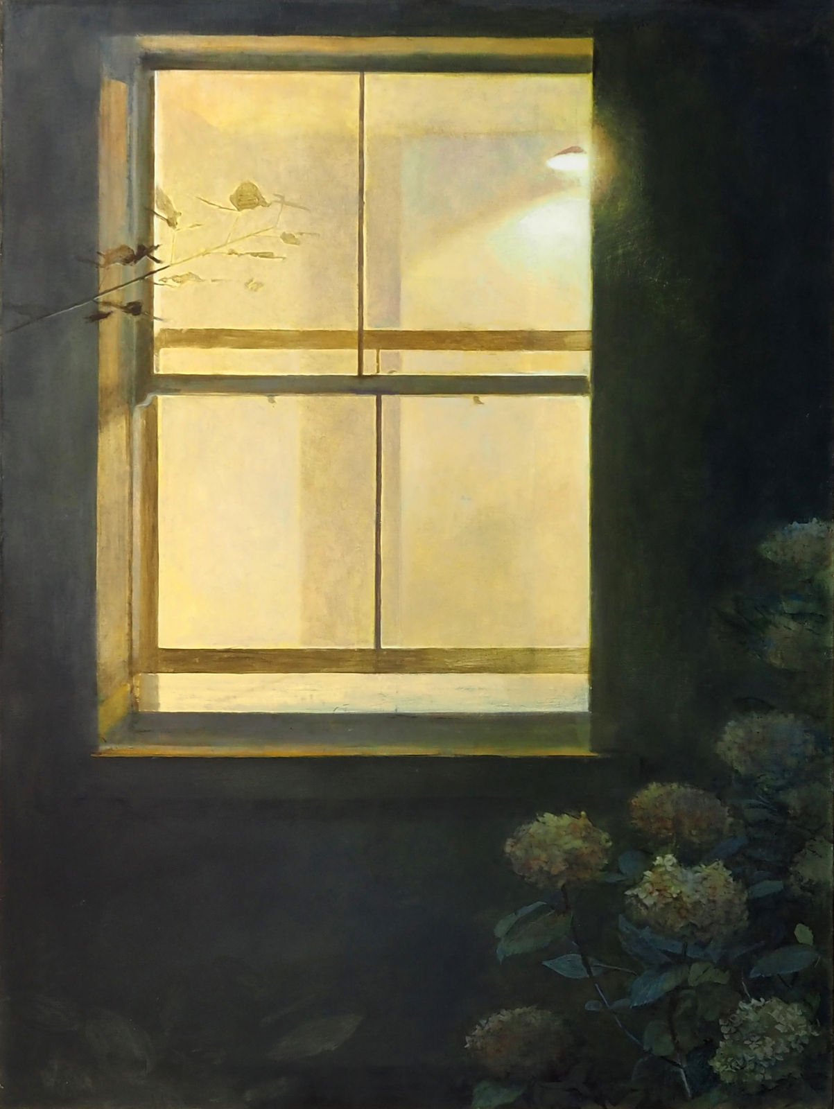 Maeve McCarthy, Open window