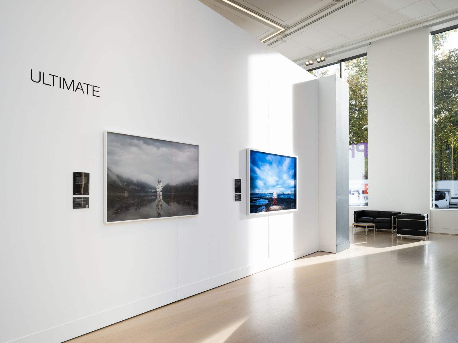 ART COLLECTION MANAGEMENT