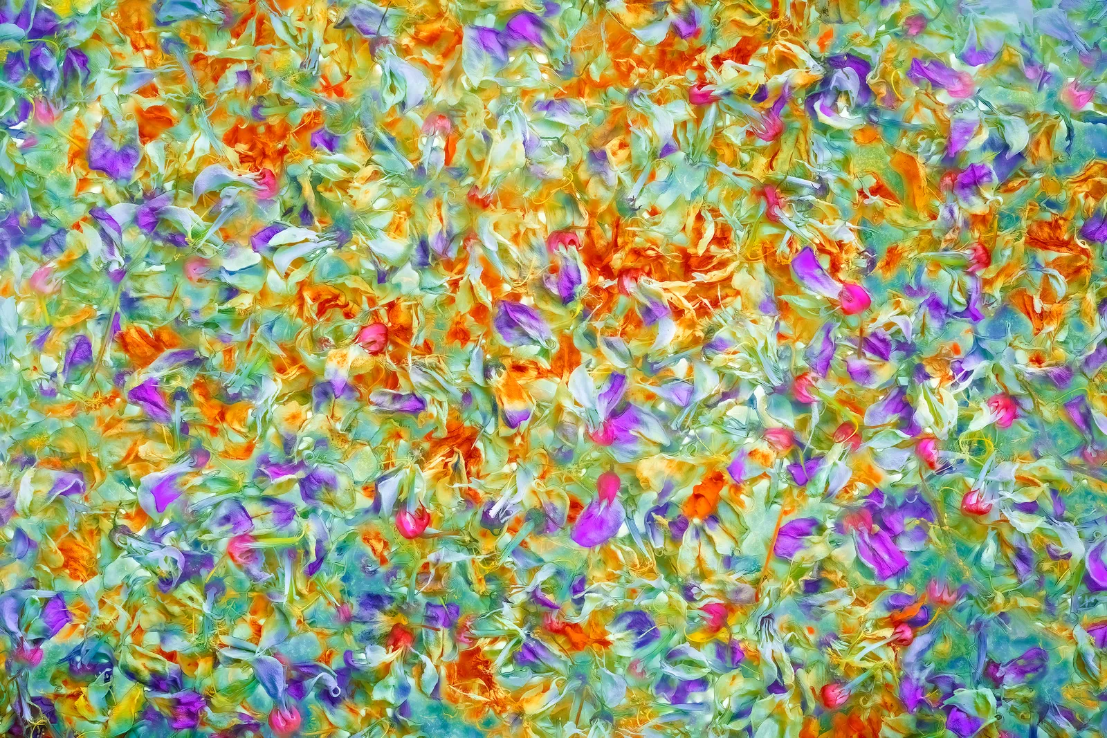 Nigel Hudson, 'SPECTRUM OVERLOAD' , 2024