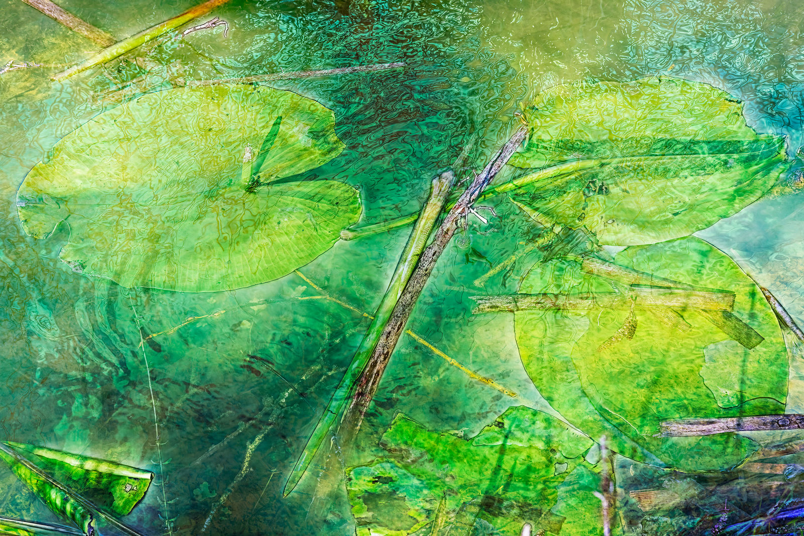 Nigel Hudson, 'SCRATCHING THE SURFACE', 2022