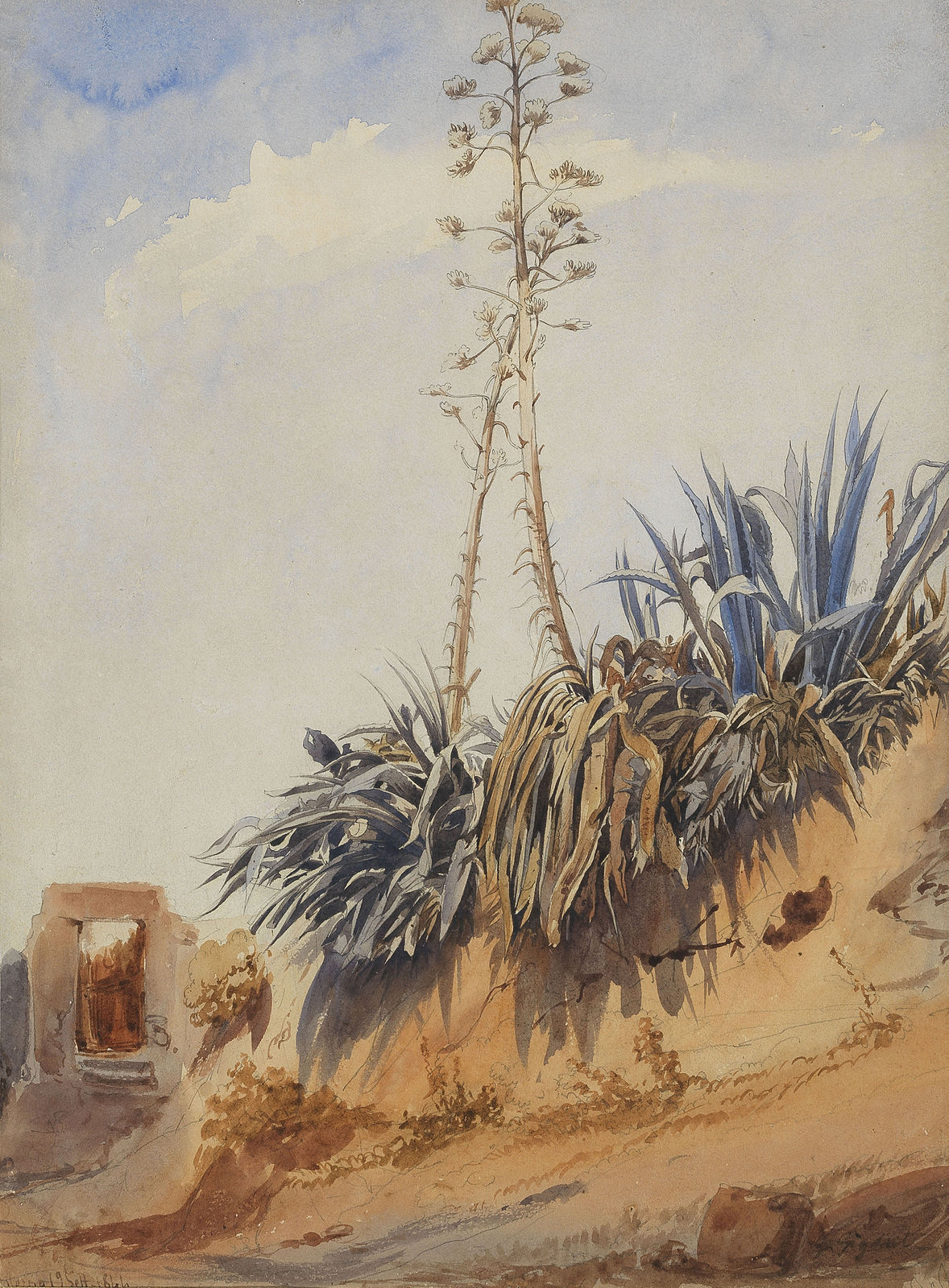 Giacinto GIGANTE, Study of an Agave, 1844