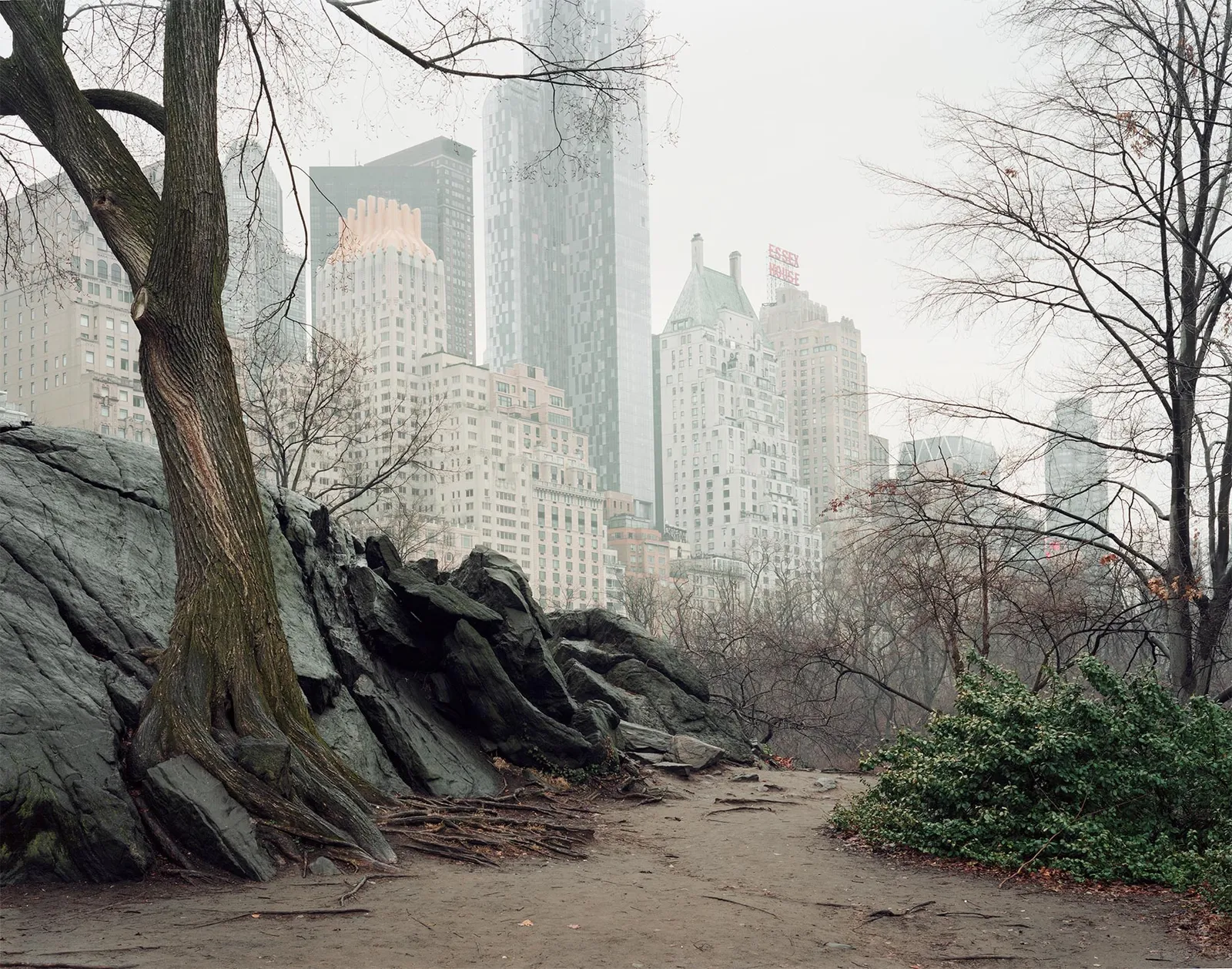 Rock Study #3, Central Park, 2016