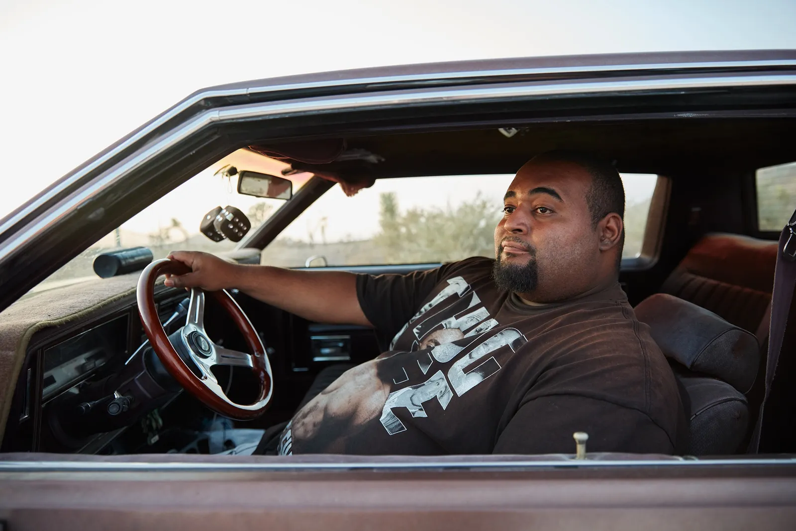 The Security Guard, Antelope Valley, California