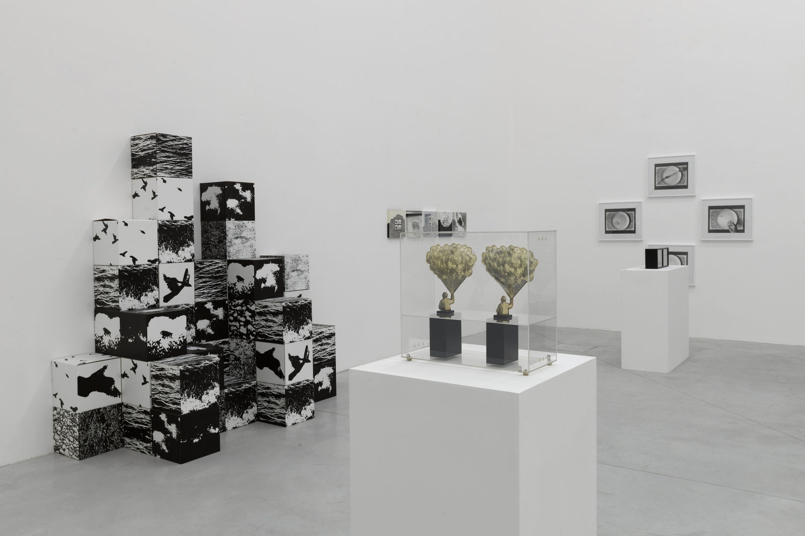 The Photographic Object 1970 (2013) (installation view). Courtesy of Le Consortium Museum, Dijon, France.