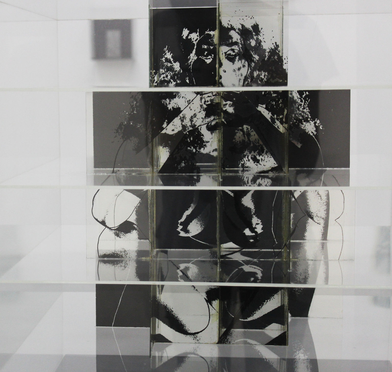 The Photographic Object 1970 (2013) (installation view). Courtesy of Le Consortium Museum, Dijon, France.