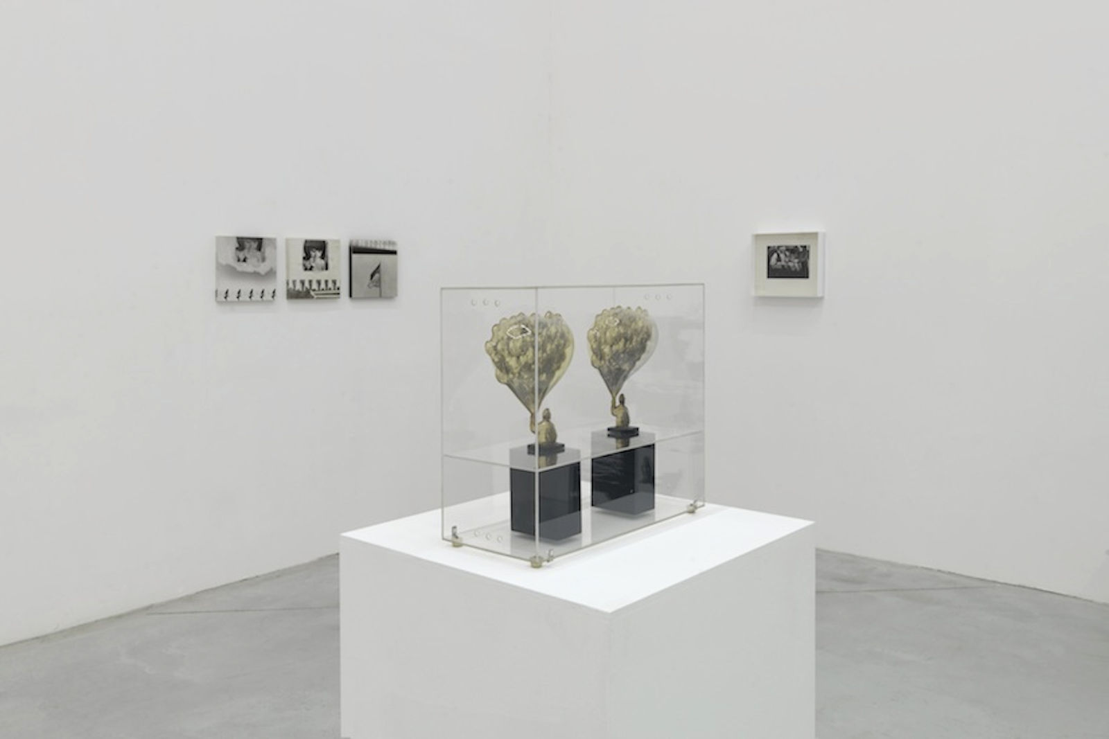 The Photographic Object 1970 (2013) (installation view). Courtesy of Le Consortium Museum, Dijon, France.