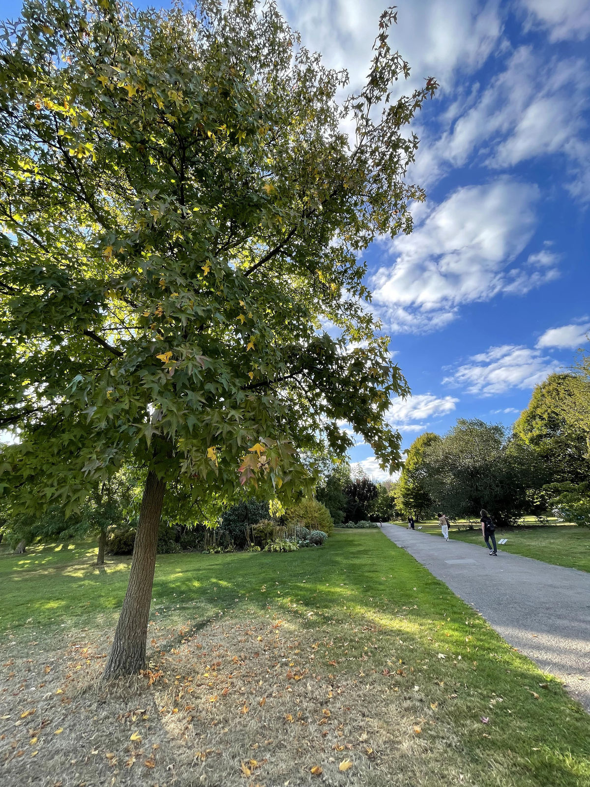 Albano Hernández, The Shadow at Frieze Sculpture Park, 2024