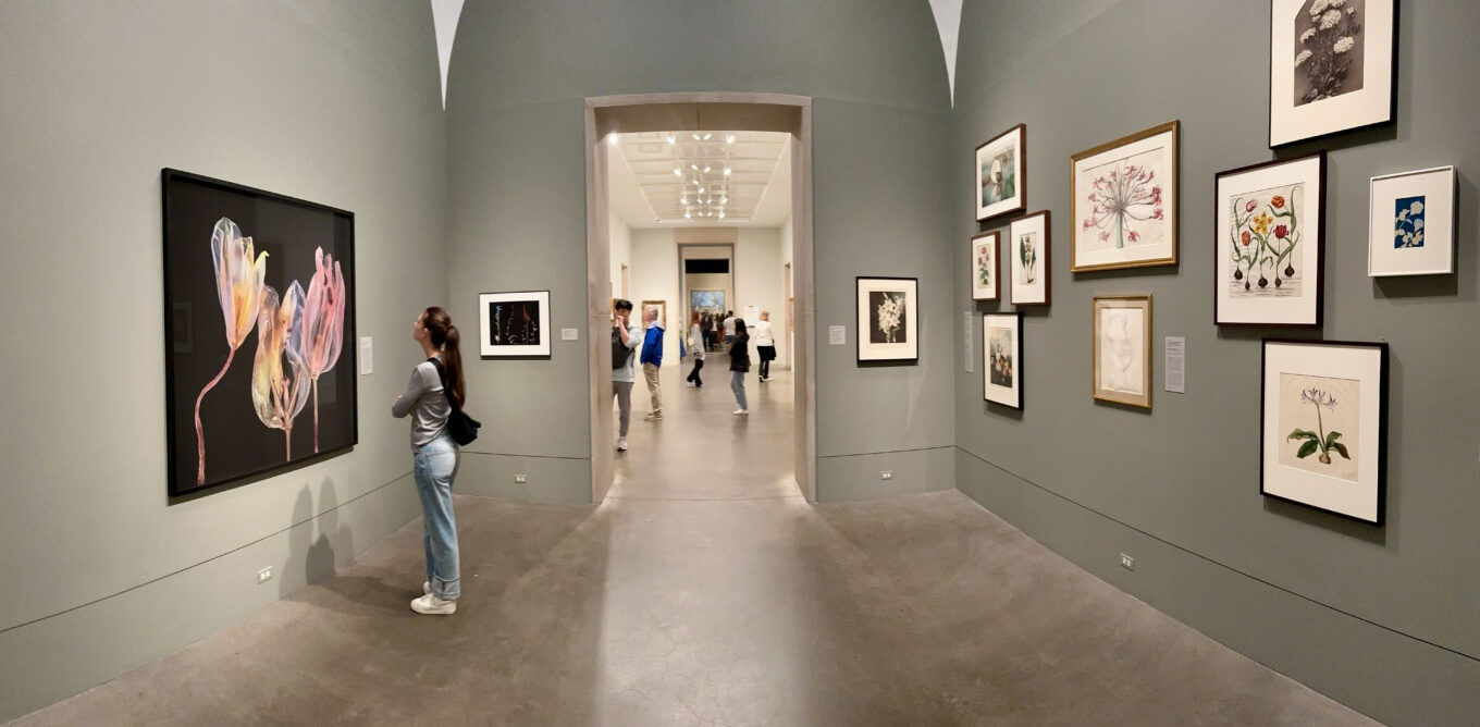 Installation at Philadelphia Museum of Art. May 2023.