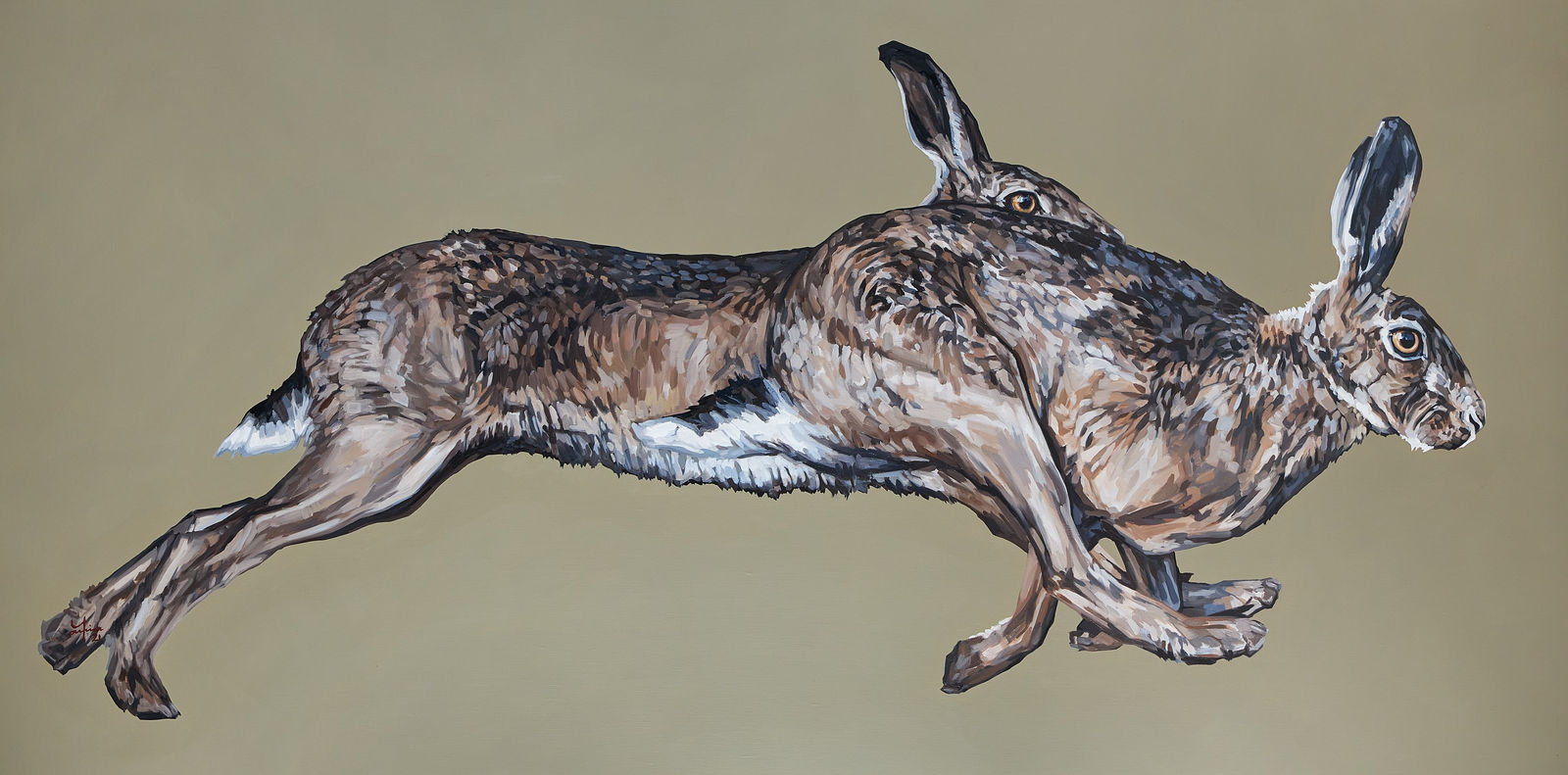 Tania Still, Course on