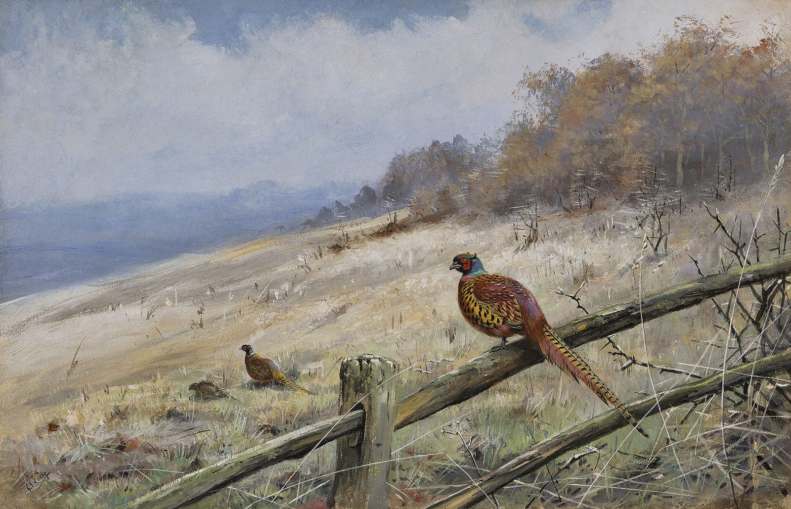 George Edward Lodge, Pheasants