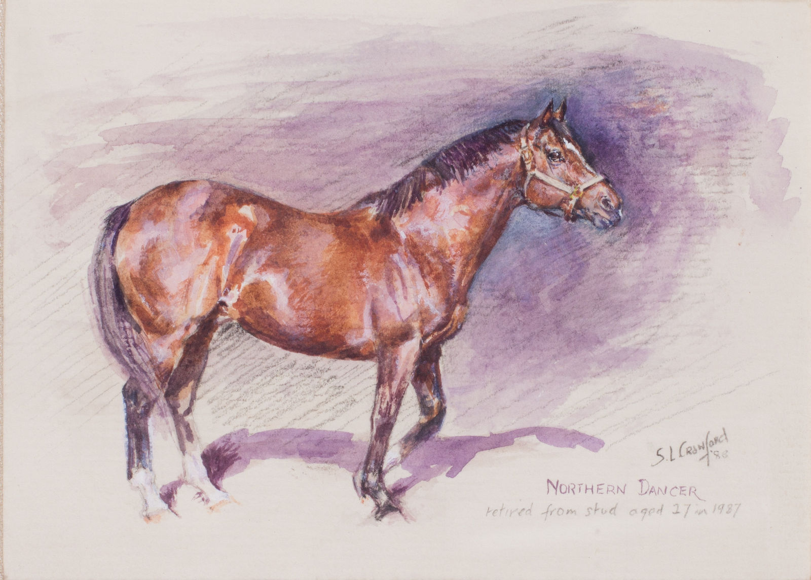 Susan Crawford, Northern Dancer