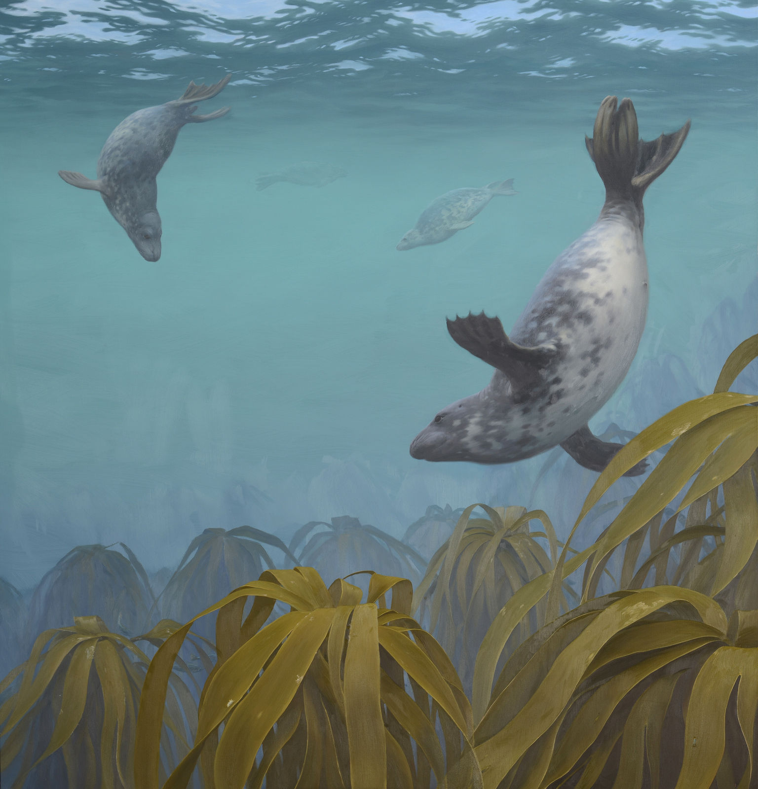 Chris Rose, St Mary's seals