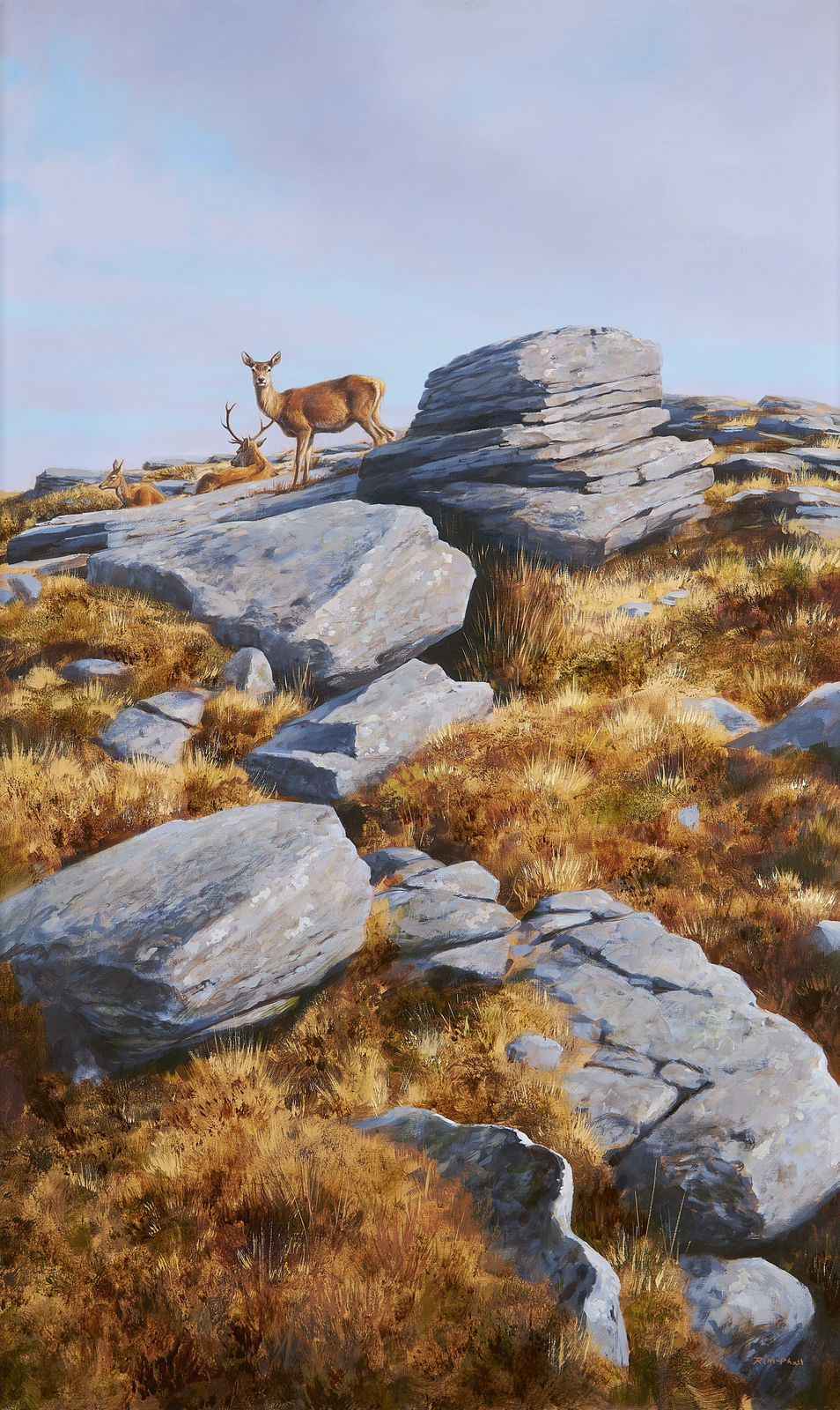 Rodger McPhail, Hind alerted