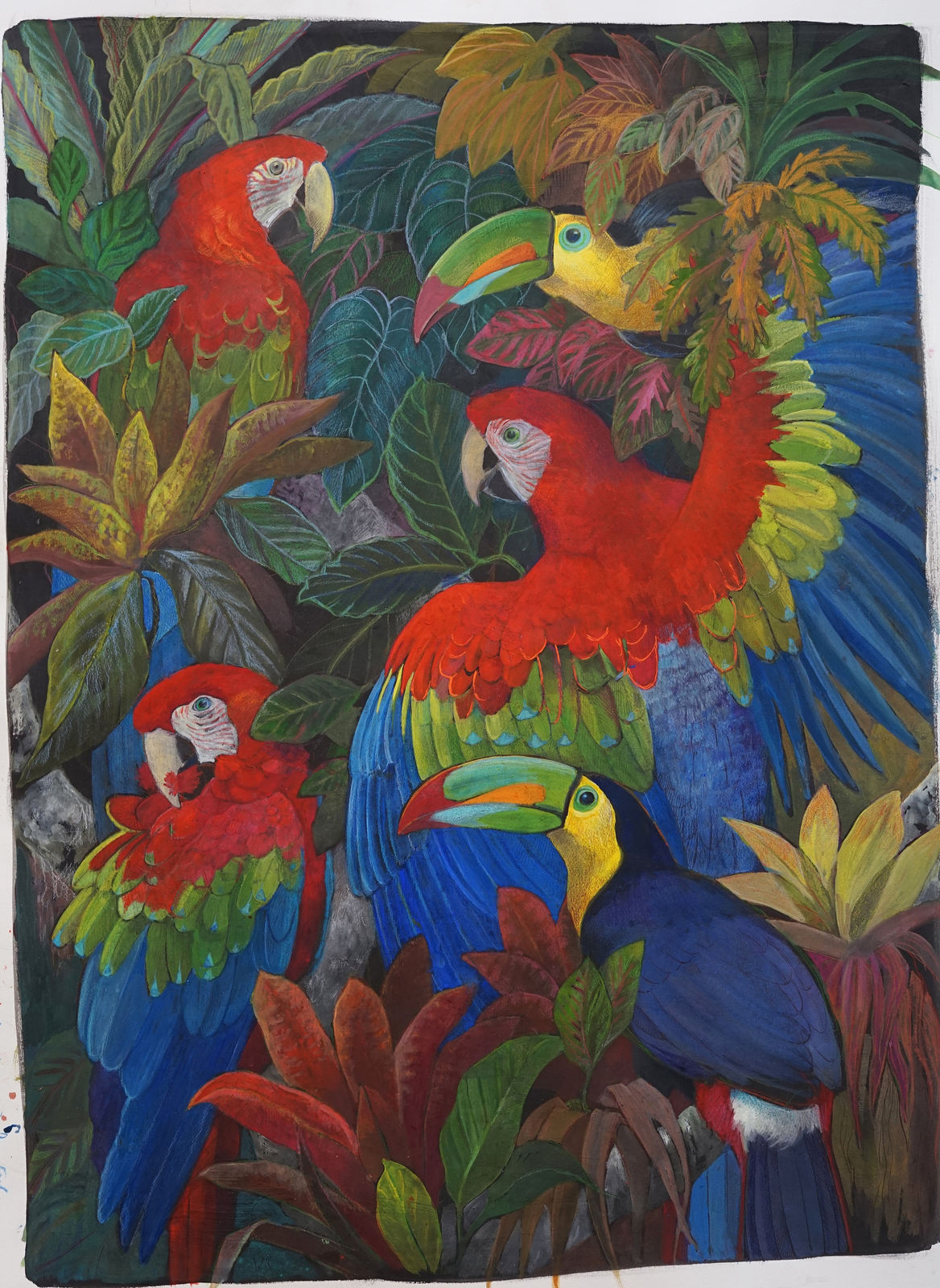 Emma Faull, Macaws and Toucans