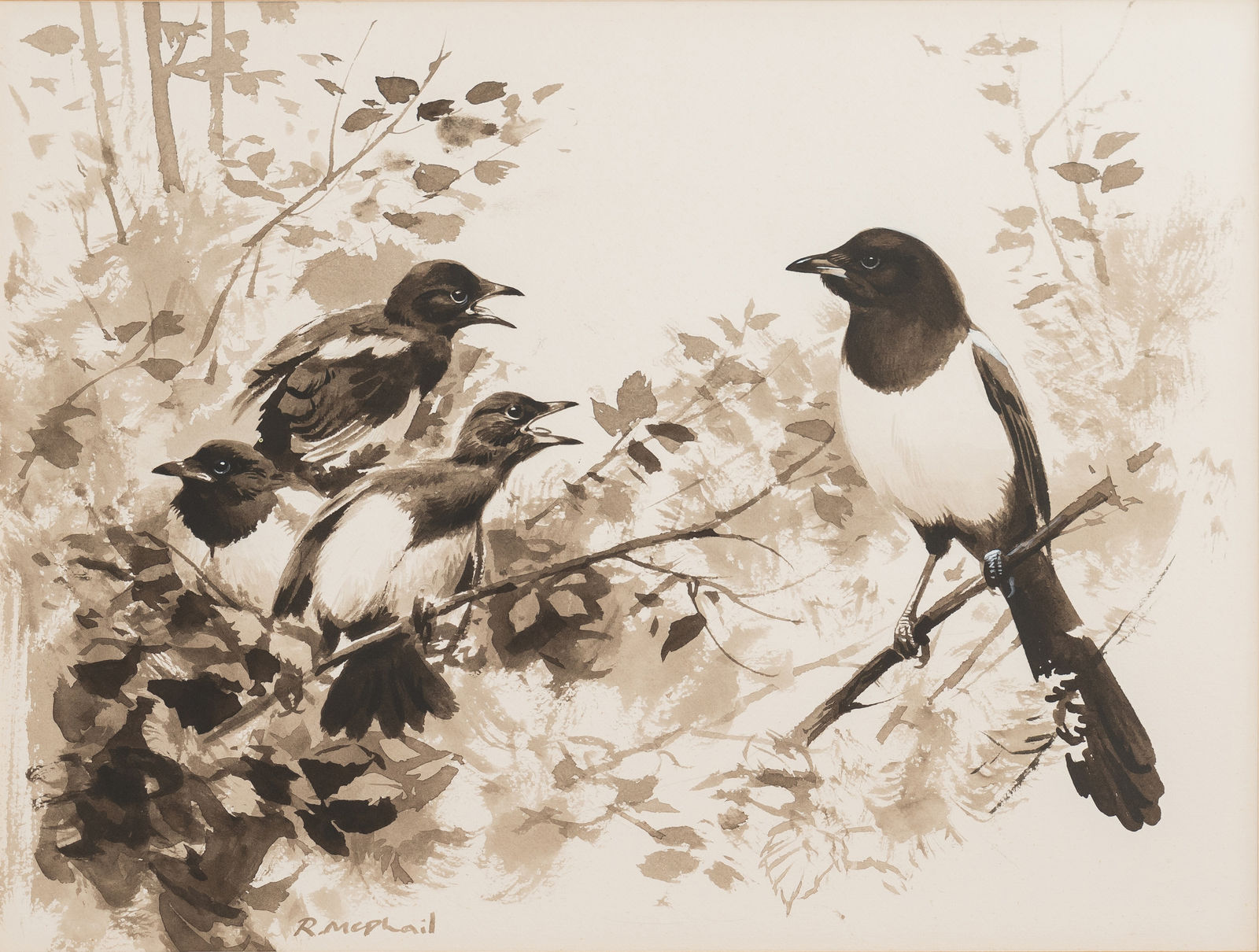 Rodger McPhail, Magpie and Young - Spring