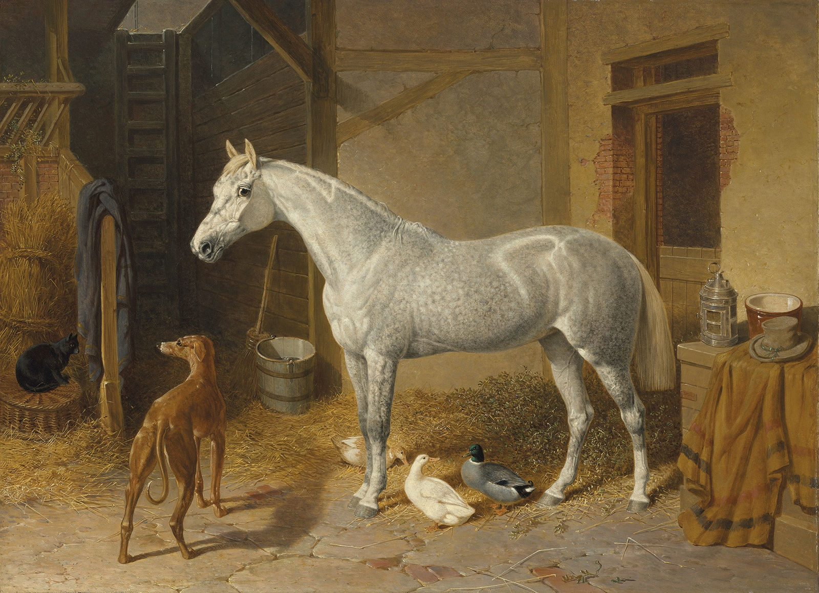 John Frederick Herring Snr, A dappled grey horse in a stable with a greyhound, ducks, and a cat, 1863