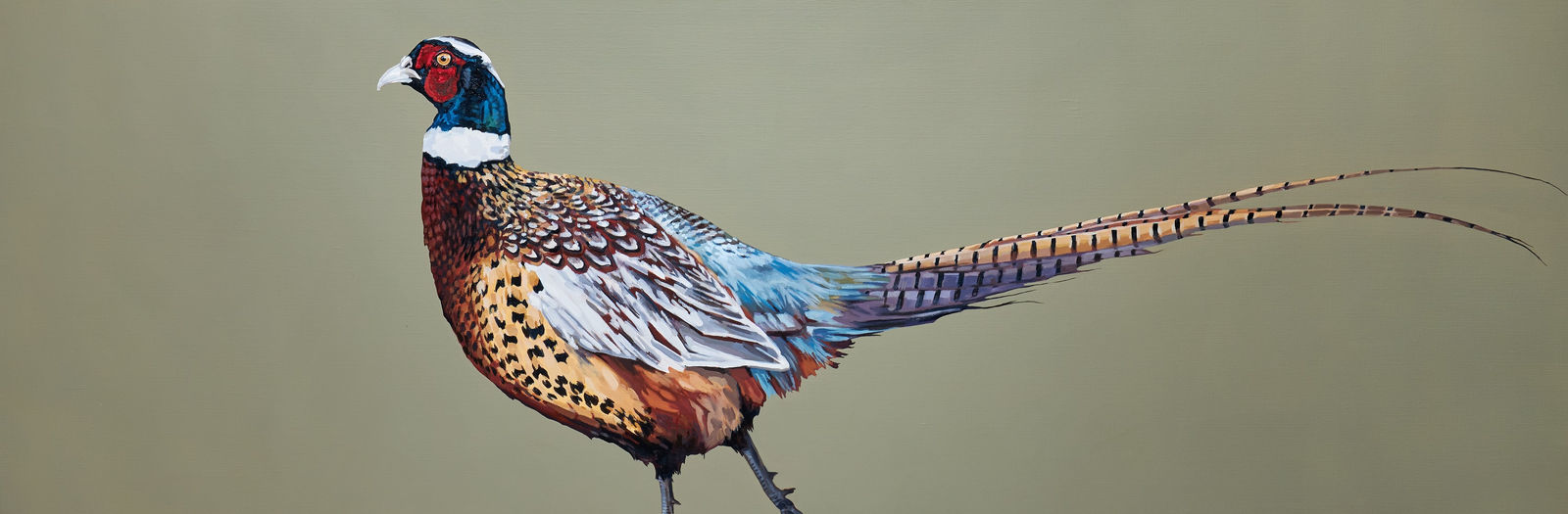 Tania Still, Strutting cock