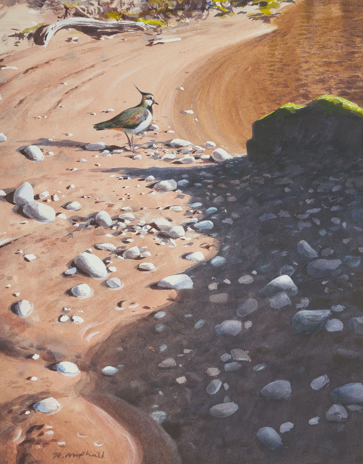 Rodger McPhail, Lapwing