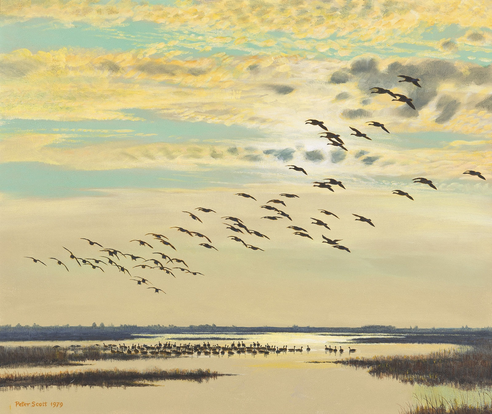 Sir Peter Markham Scott, Sunset flight