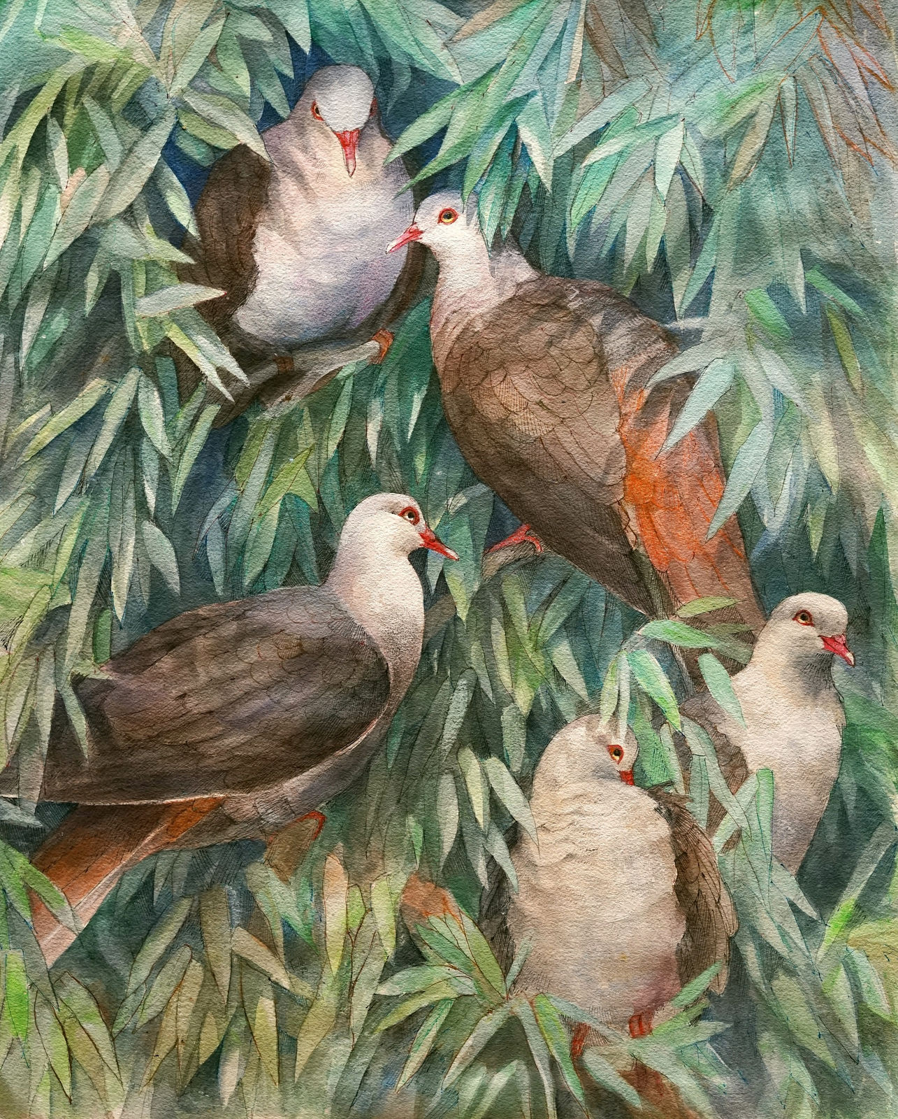 Emma Faull, Pink Pigeons