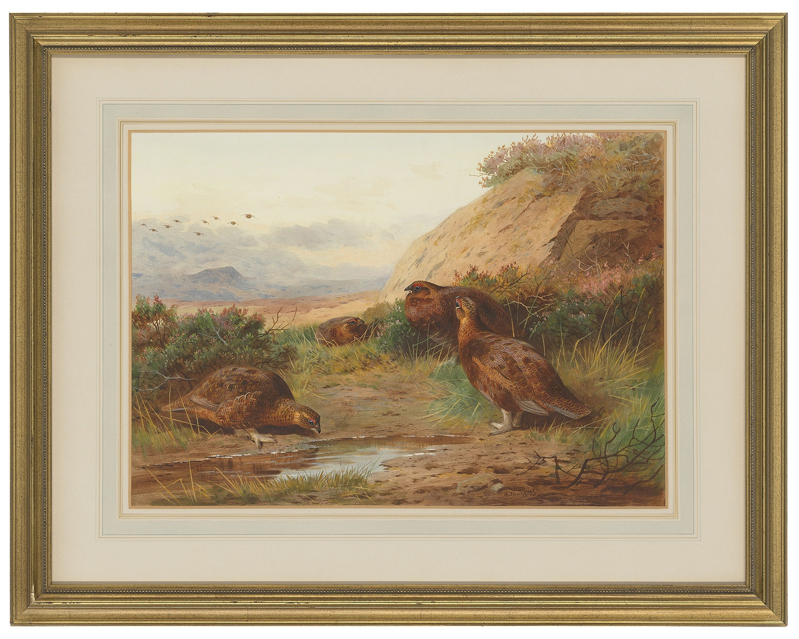 Archibald Thorburn, Grouse in a landscape, 1898