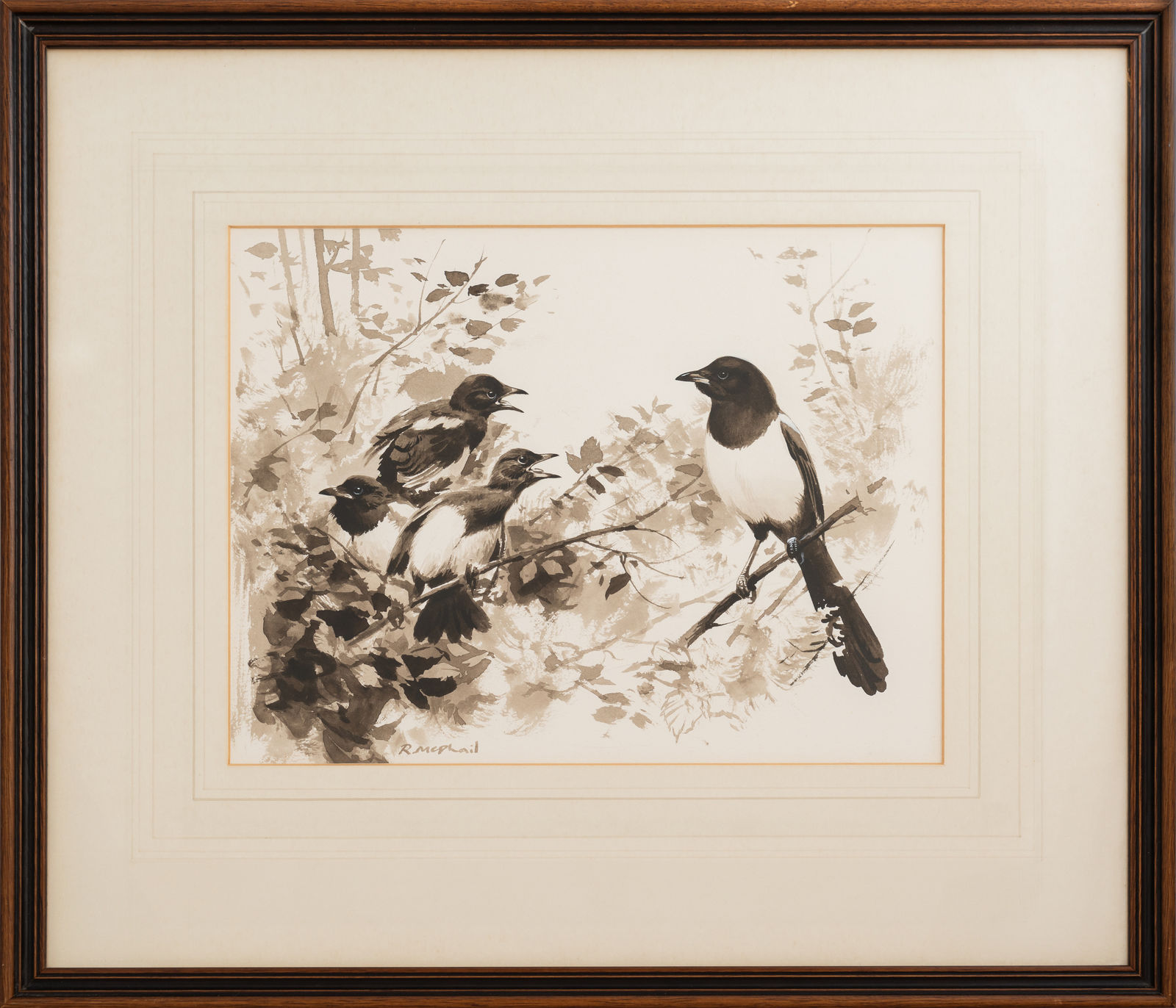 Rodger McPhail, Magpie and Young - Spring