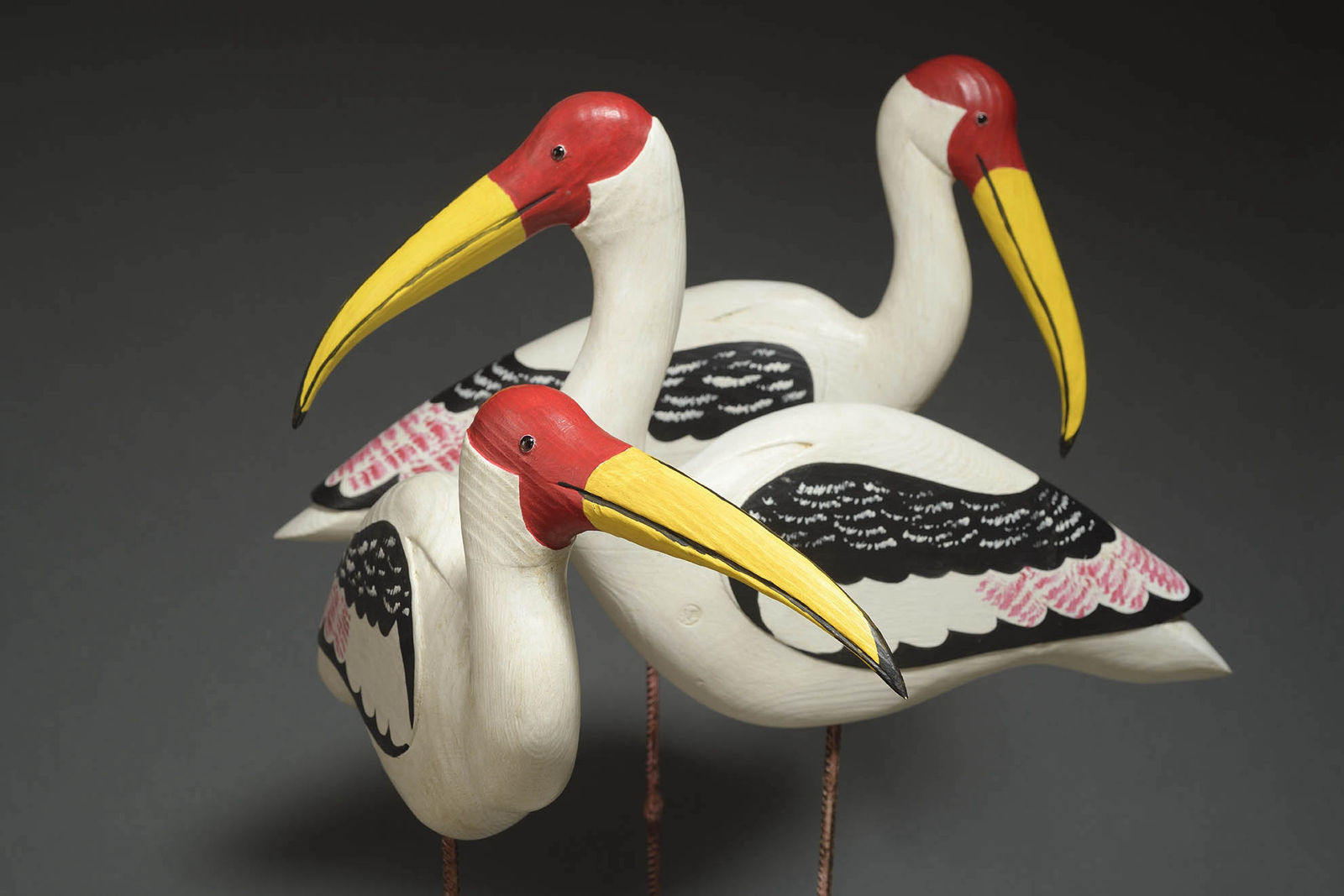 Stephen Henderson, Painted Storks