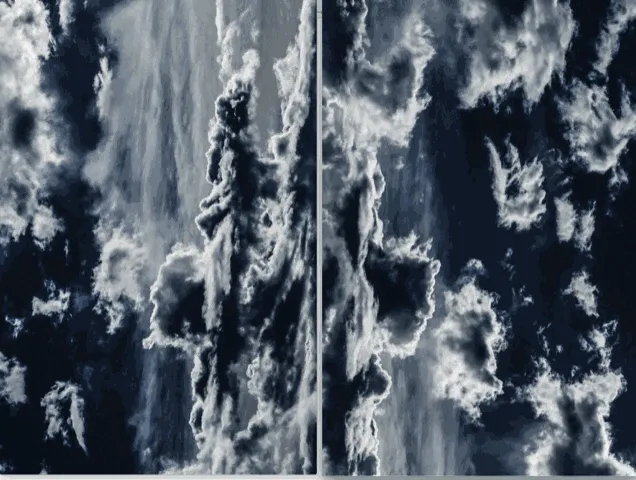 Manuela Marques, Phénomènes, 2018