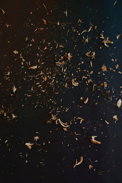 Manuela Marques, Graines 7, 2017