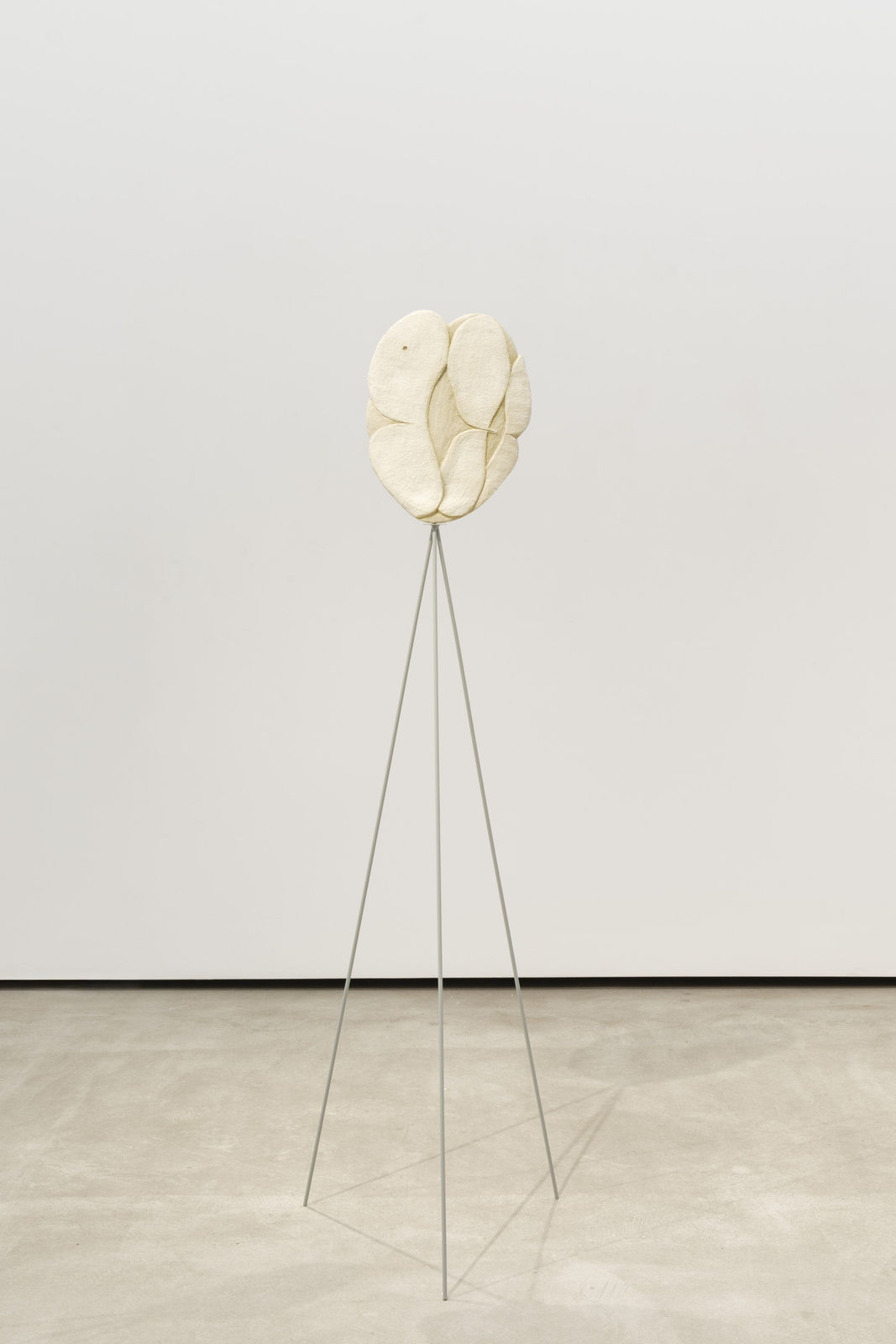 Manuel Caldeira, Sem título (Orelha quebrada) IX, 2024