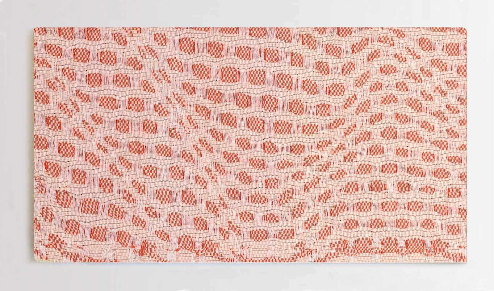 Kate Nartker, Flex, 2023