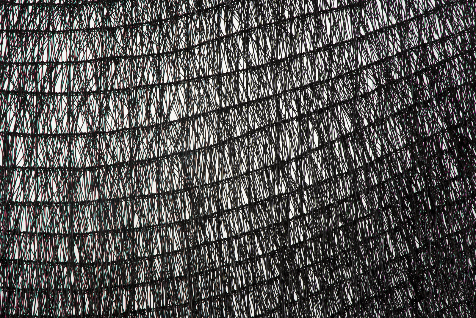 Becca Barolli, Under the Rug, 2019