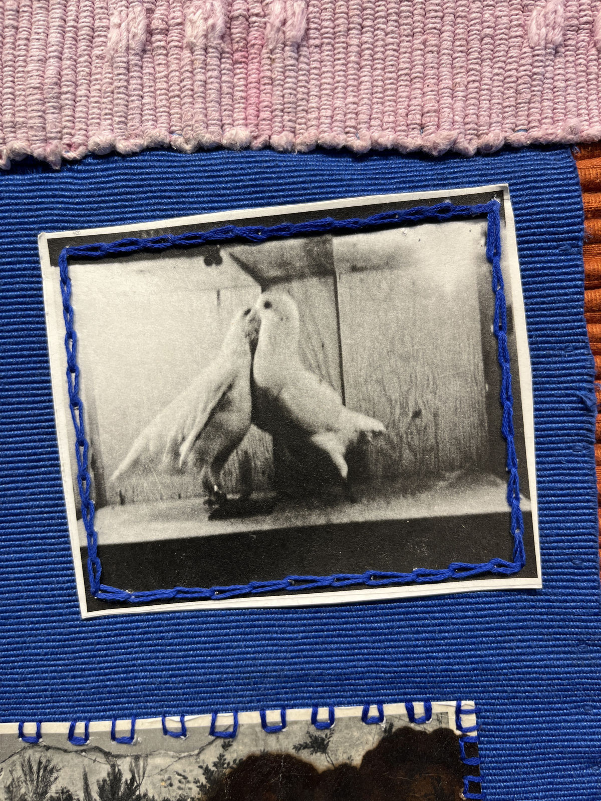 Lisa Rybovich Cralle, Saturniidae, 2024